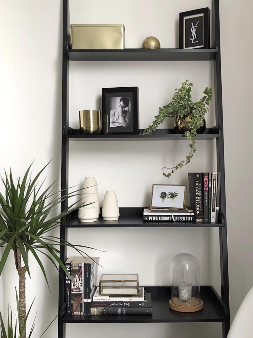 Living Room Ladder Shelving : r/InteriorDesign
