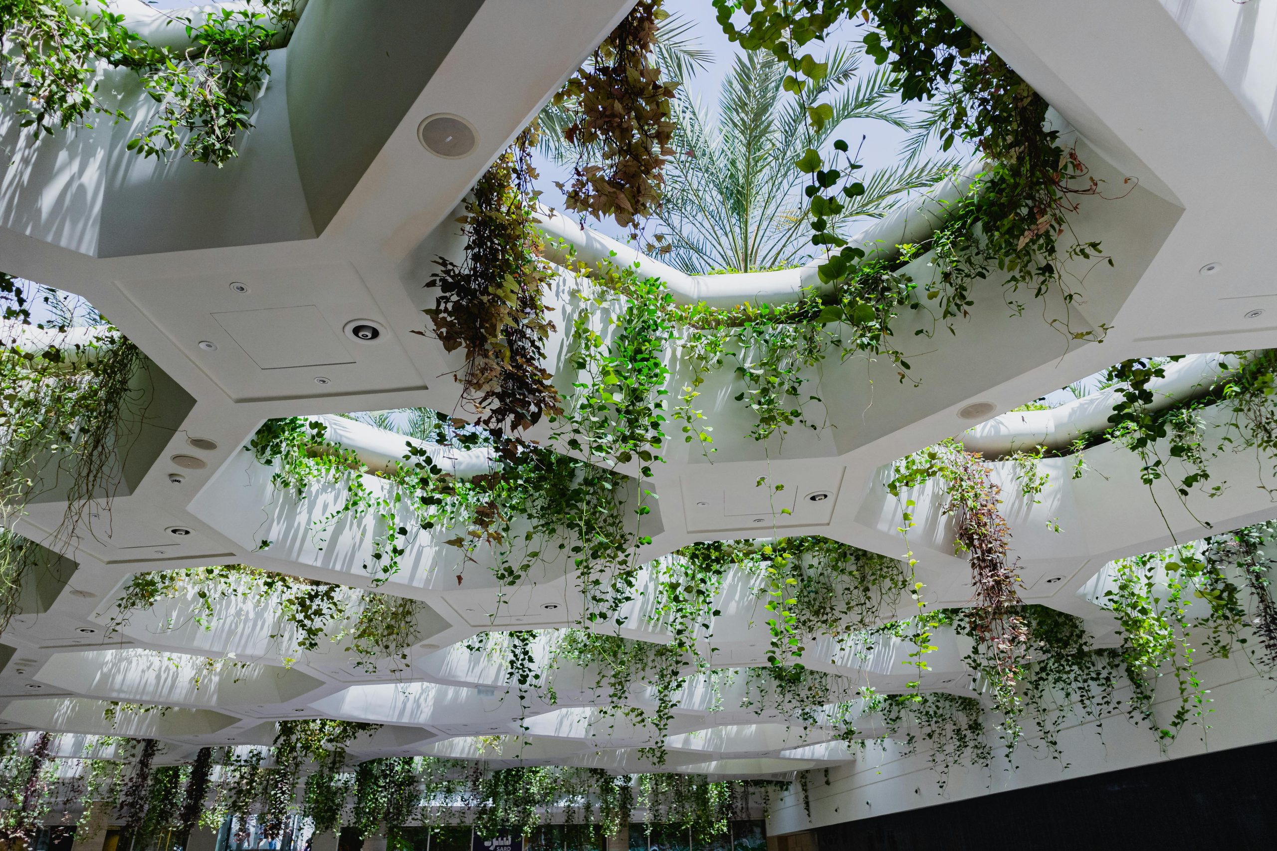 Lush green plants hanging from a geometric ceiling in a modern indoor atrium.