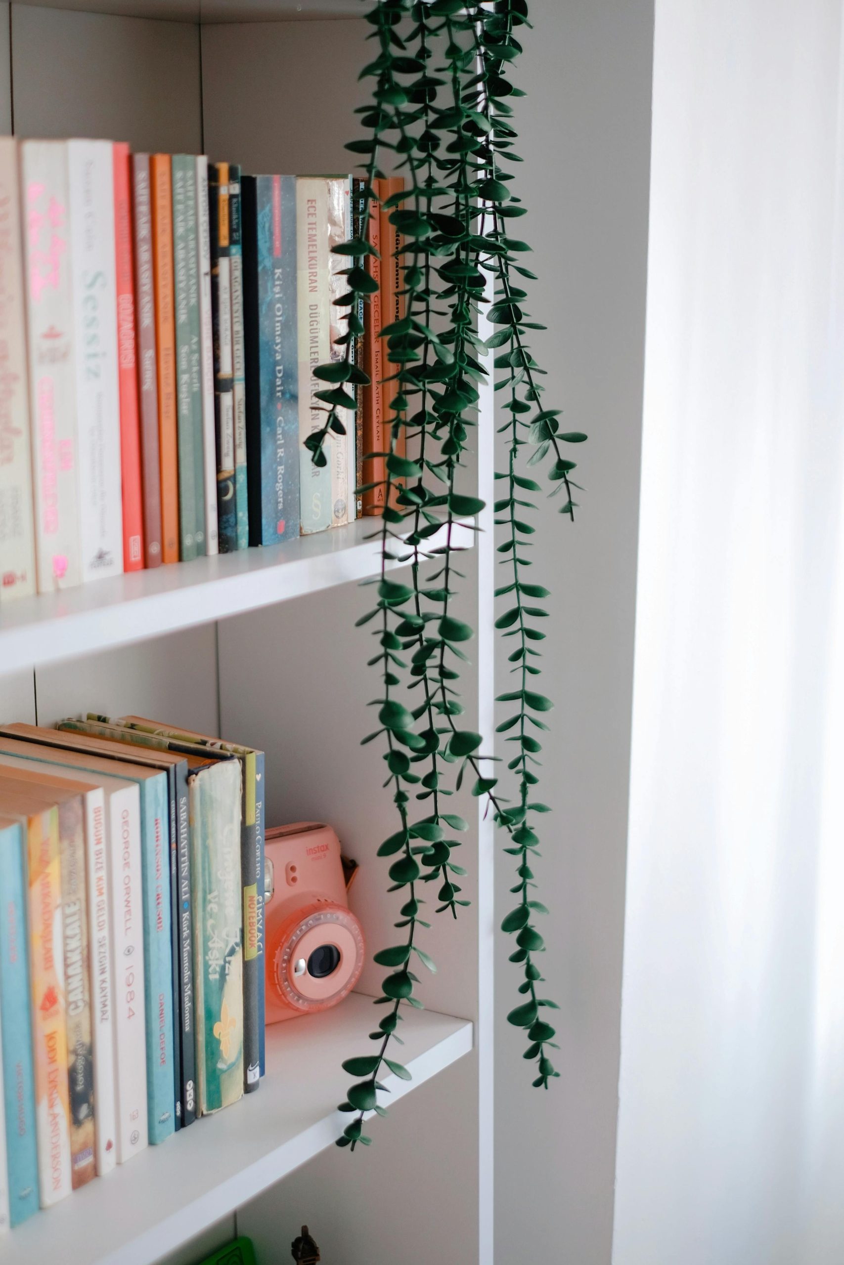 Minimalist bookshelf featuring books, camera, and green plant decor.