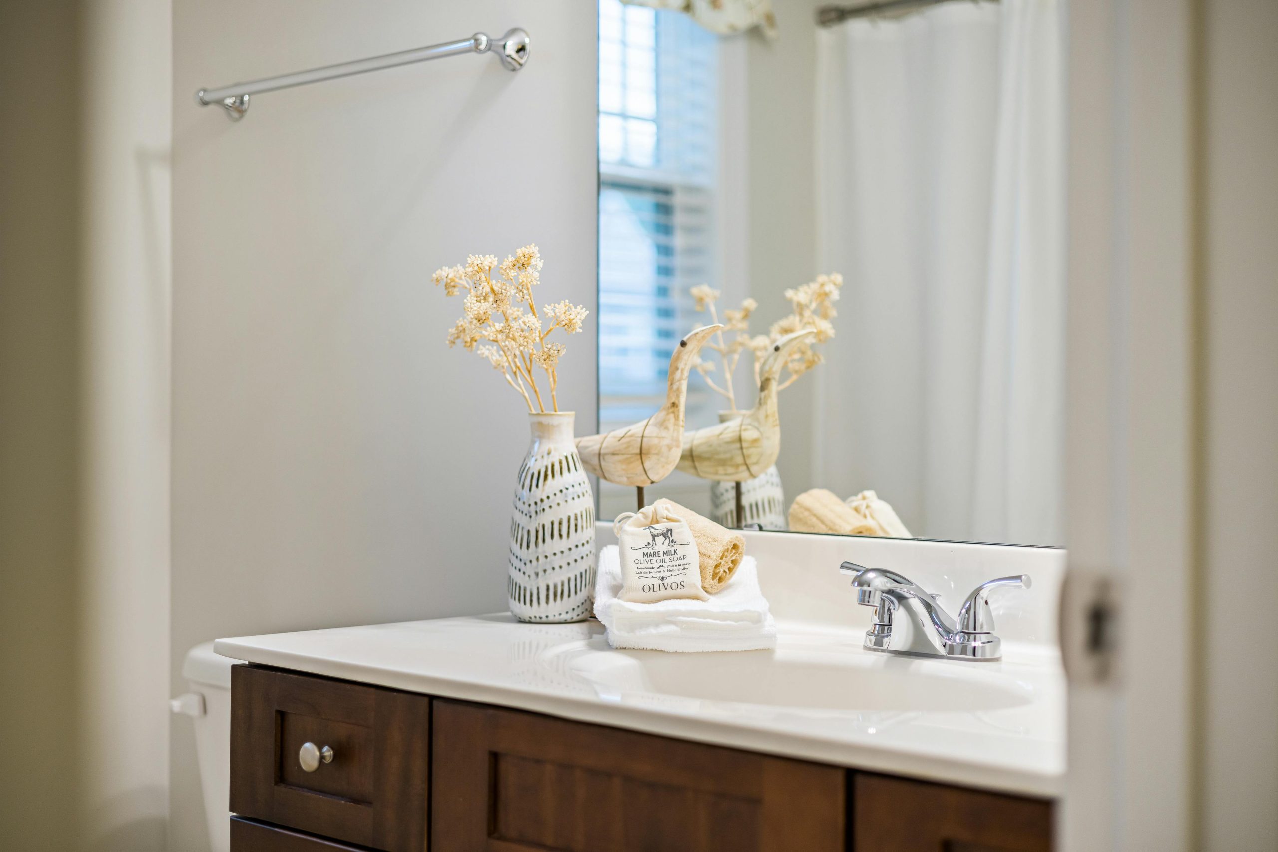 Modern bathroom vanity featuring a stylish faucet, natural decor, and a mirrored reflection for a serene ambiance.