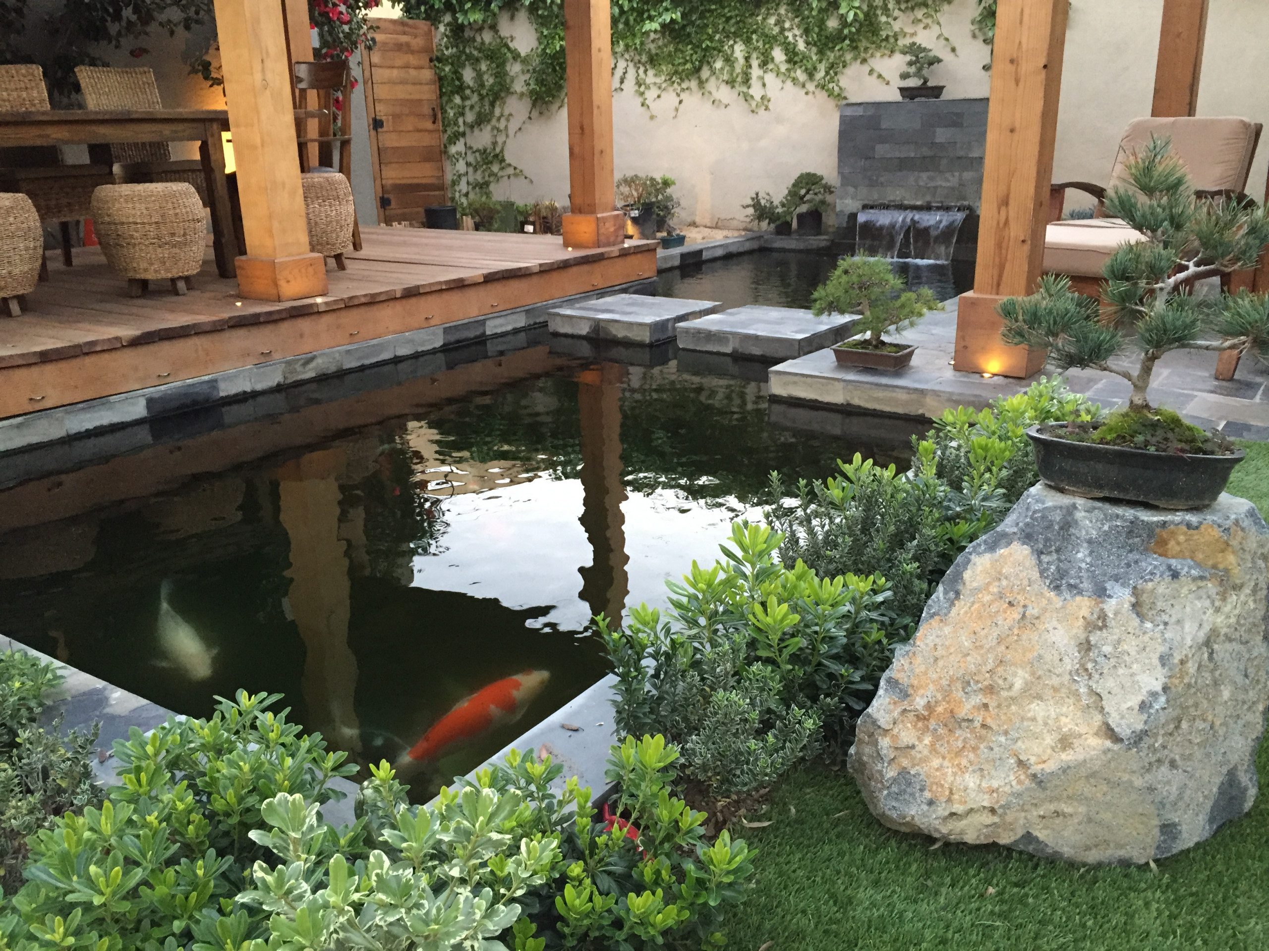 Modern Koi Pond - Photos & Ideas | Houzz