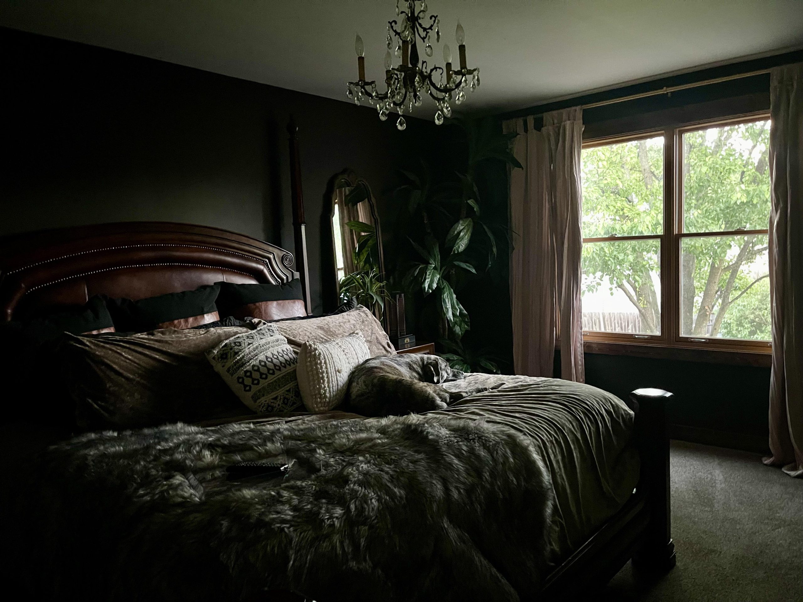 Moody Bedroom in Chicago : r/AmateurRoomPorn