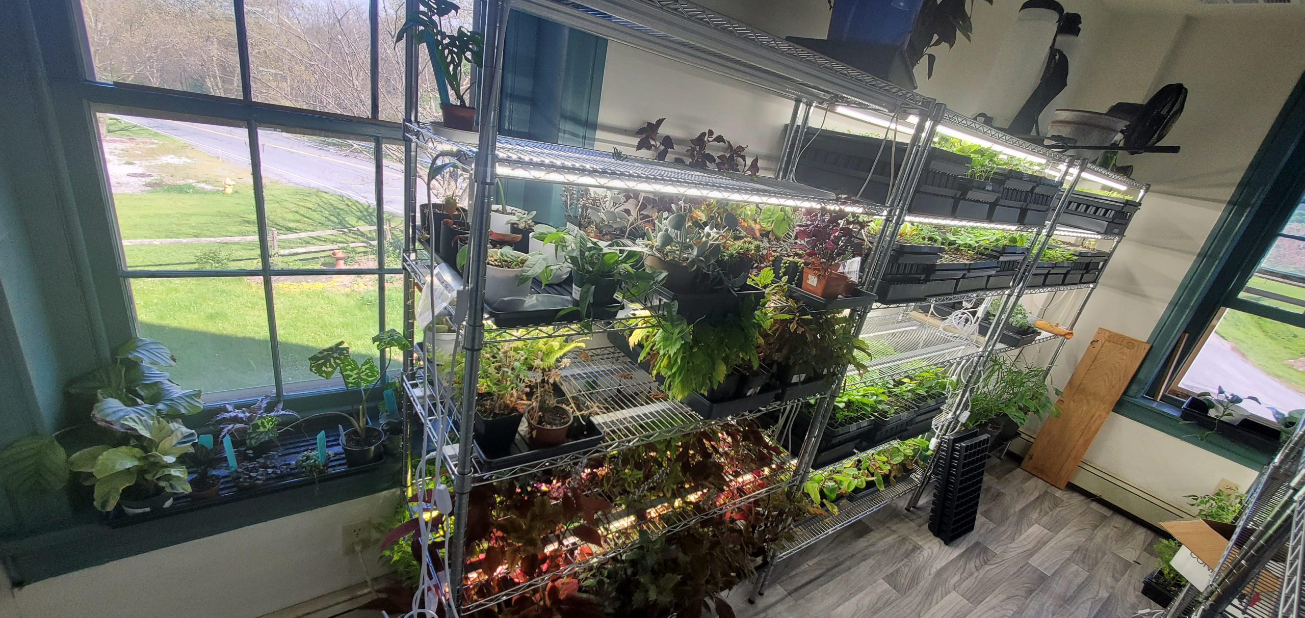 our indoor 'vertical farm ' : r/solarpunk