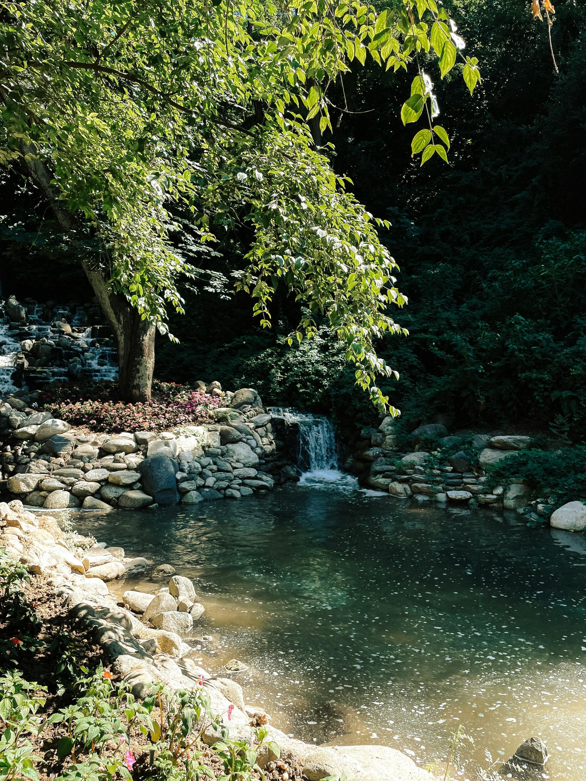 Peaceful garden scene with a small waterfall and lush trees, ideal for relaxation imagery.