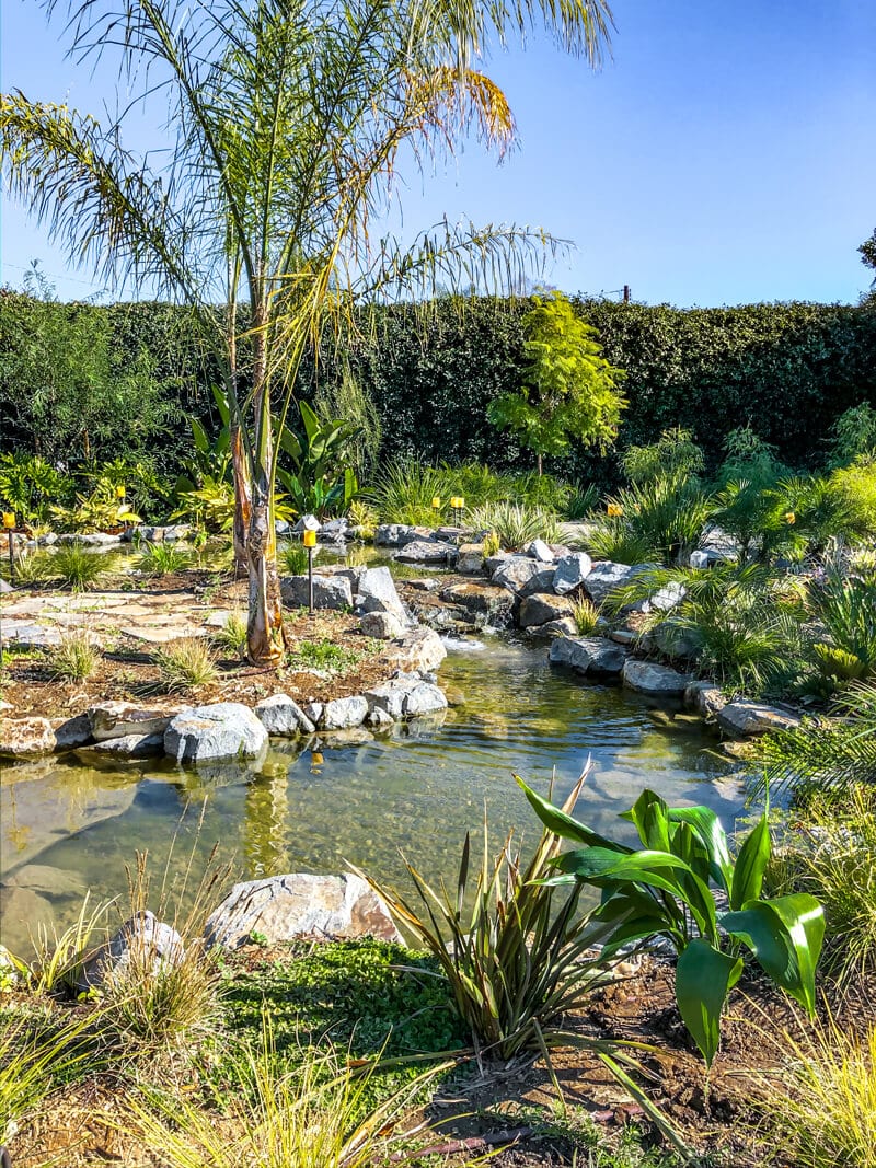 Pond Design Experts | California Waterscapes