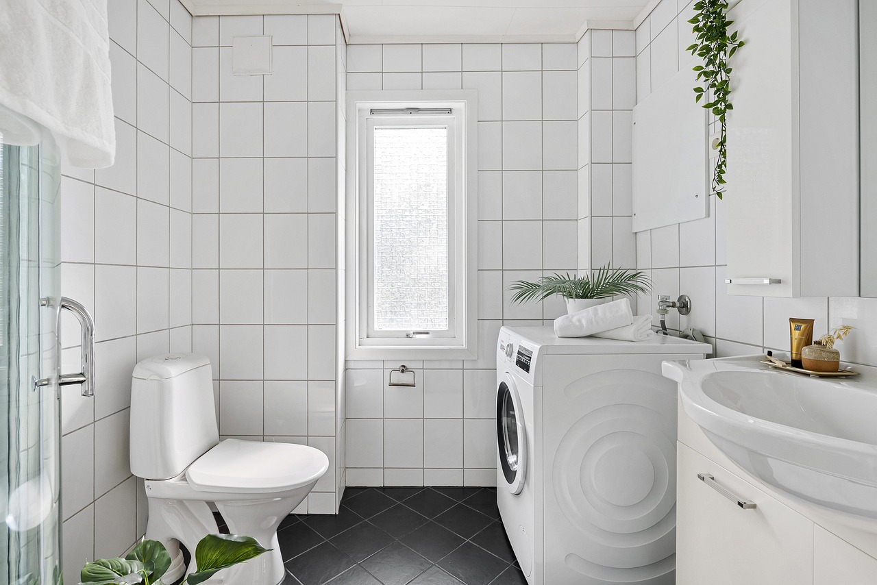 real estate, interior, bath room, toilet, shelf, sink, luxury, art, table, wood, chair, shampoo, shower, washing machine, mirror, towel, decor, nature, cabinet, plant, carpet
