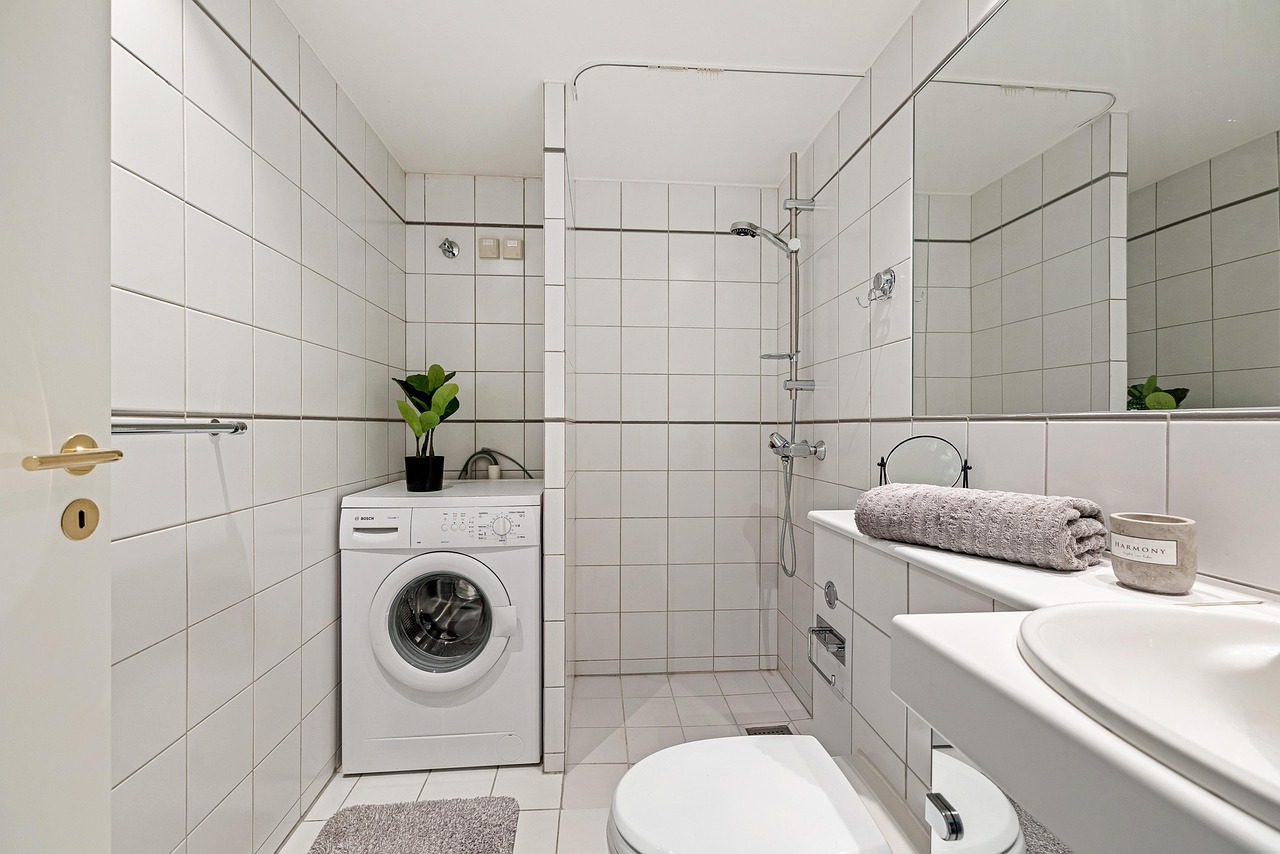 real estate, interior, bath room, toilet, shelf, sink, luxury, art, table, wood, chair, shampoo, nature, shower, washing machine, mirror, towel, decor, cabinet, plant, carpet