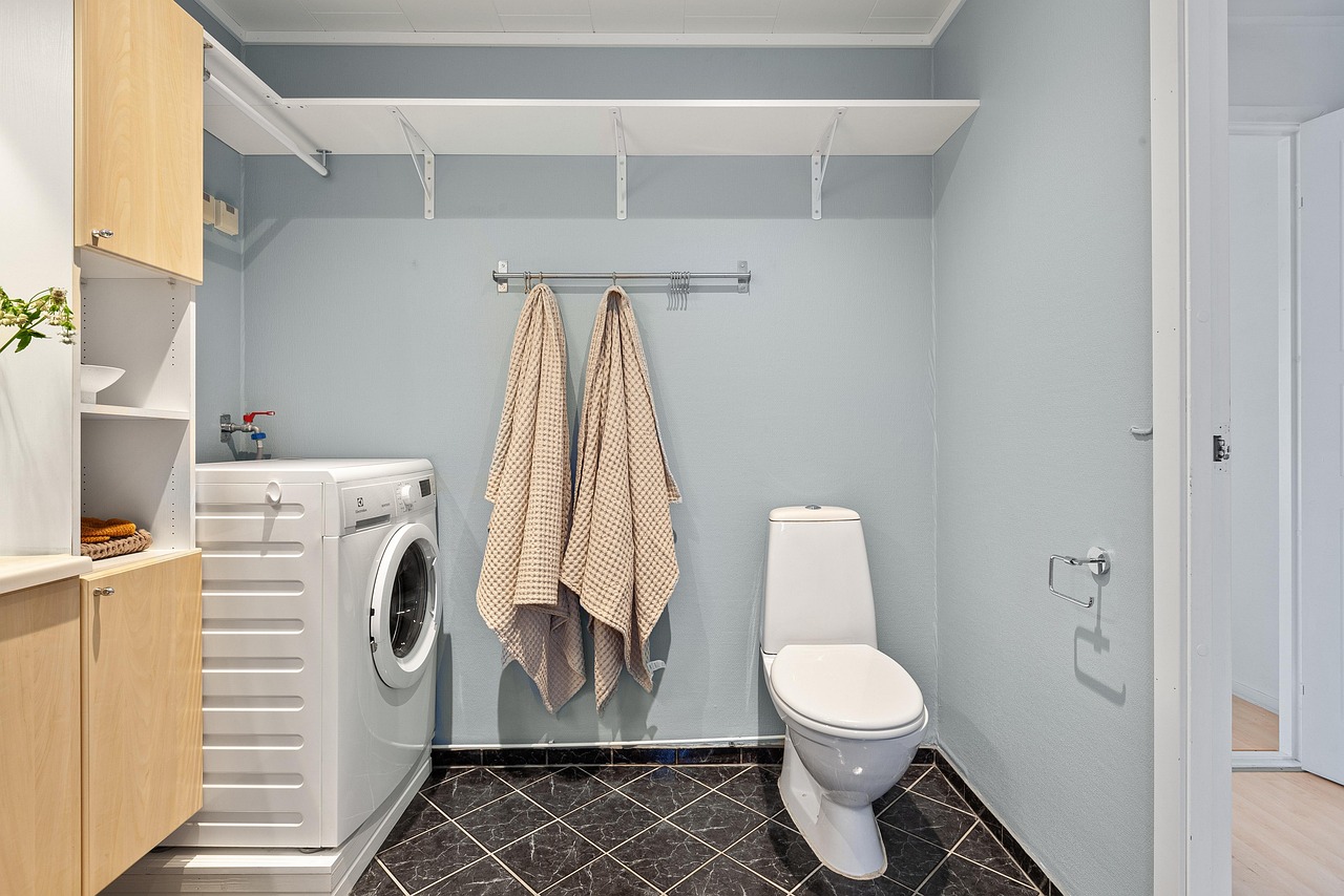 real estate, interior, bath room, toilet, shelf, sink, luxury, art, table, wood, nature, chair, shampoo, shower, washing machine, mirror, towel, decor, cabinet, plant, carpet