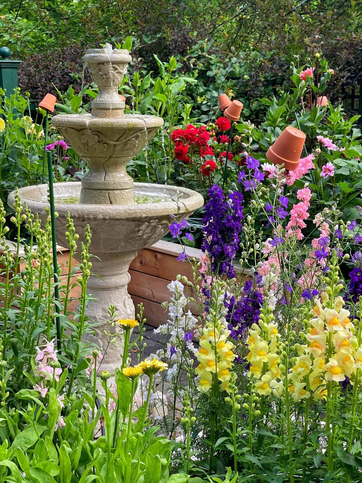Set and Forget: A Colorful Garden That Thrives with Ease | Bricks 'n Blooms with Stacy Ling