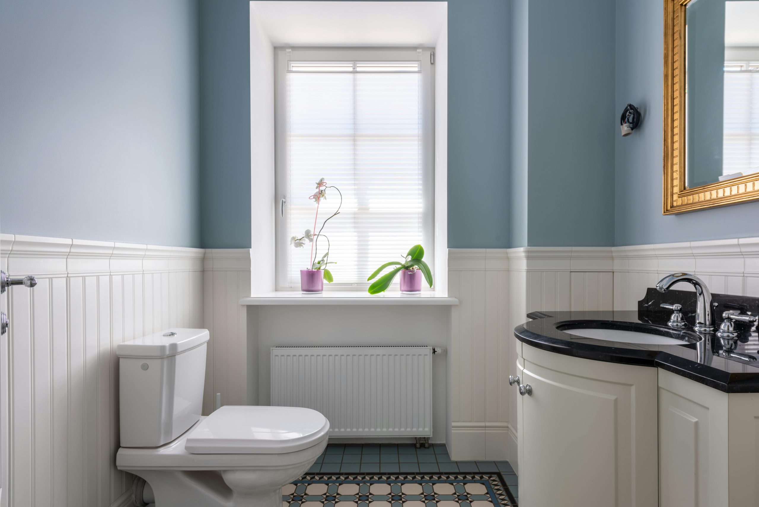 Stylish contemporary bathroom featuring blue walls, black countertop, and orchid plant.