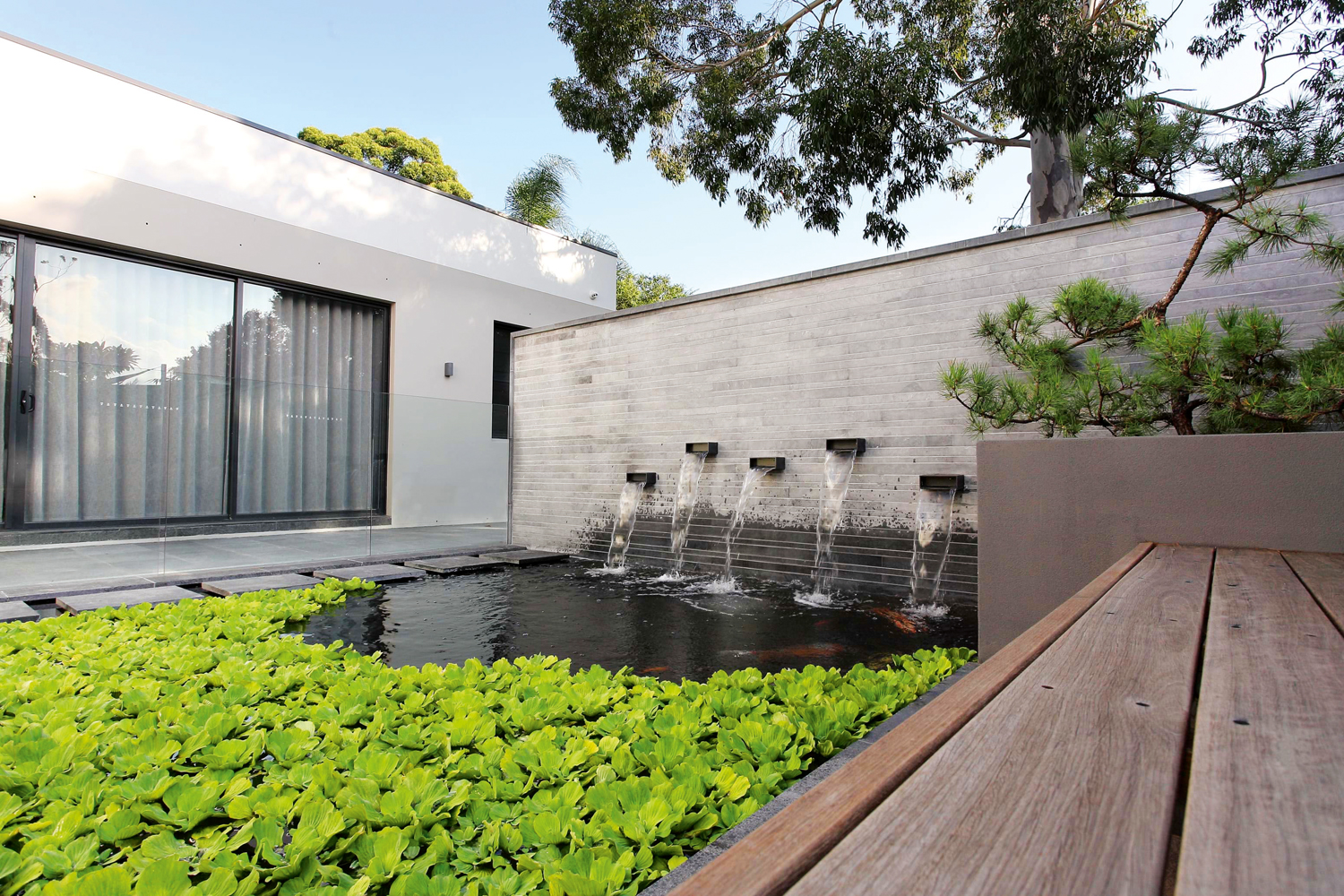 This Japanese-style landscape design uses grass, plants and a koi pond to get the look - Completehome