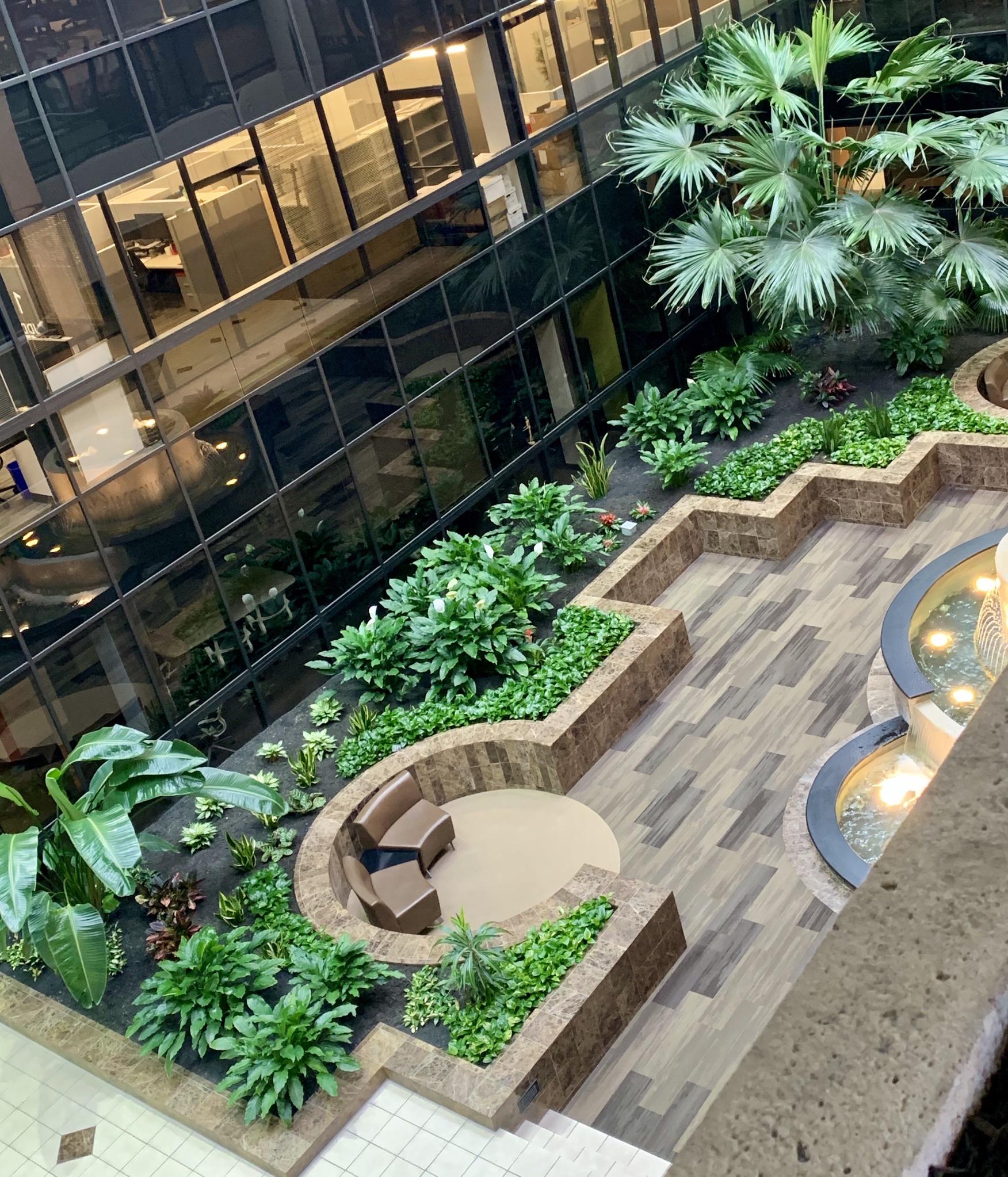 Thought you guys would like the atrium in my work place. : r/IndoorGarden