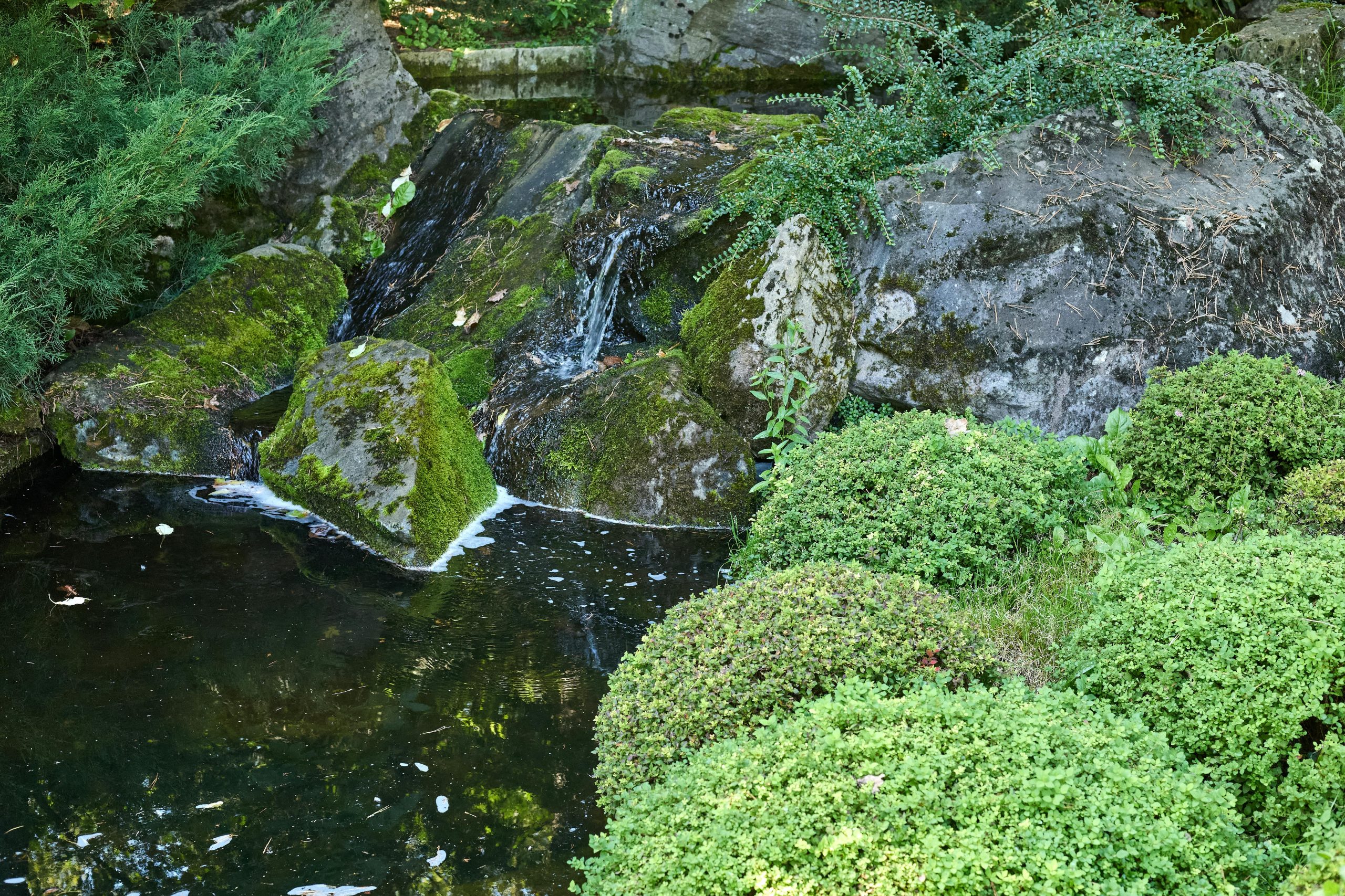 Tranquil scene of moss-covered rocks and gentle stream in a peaceful garden setting.