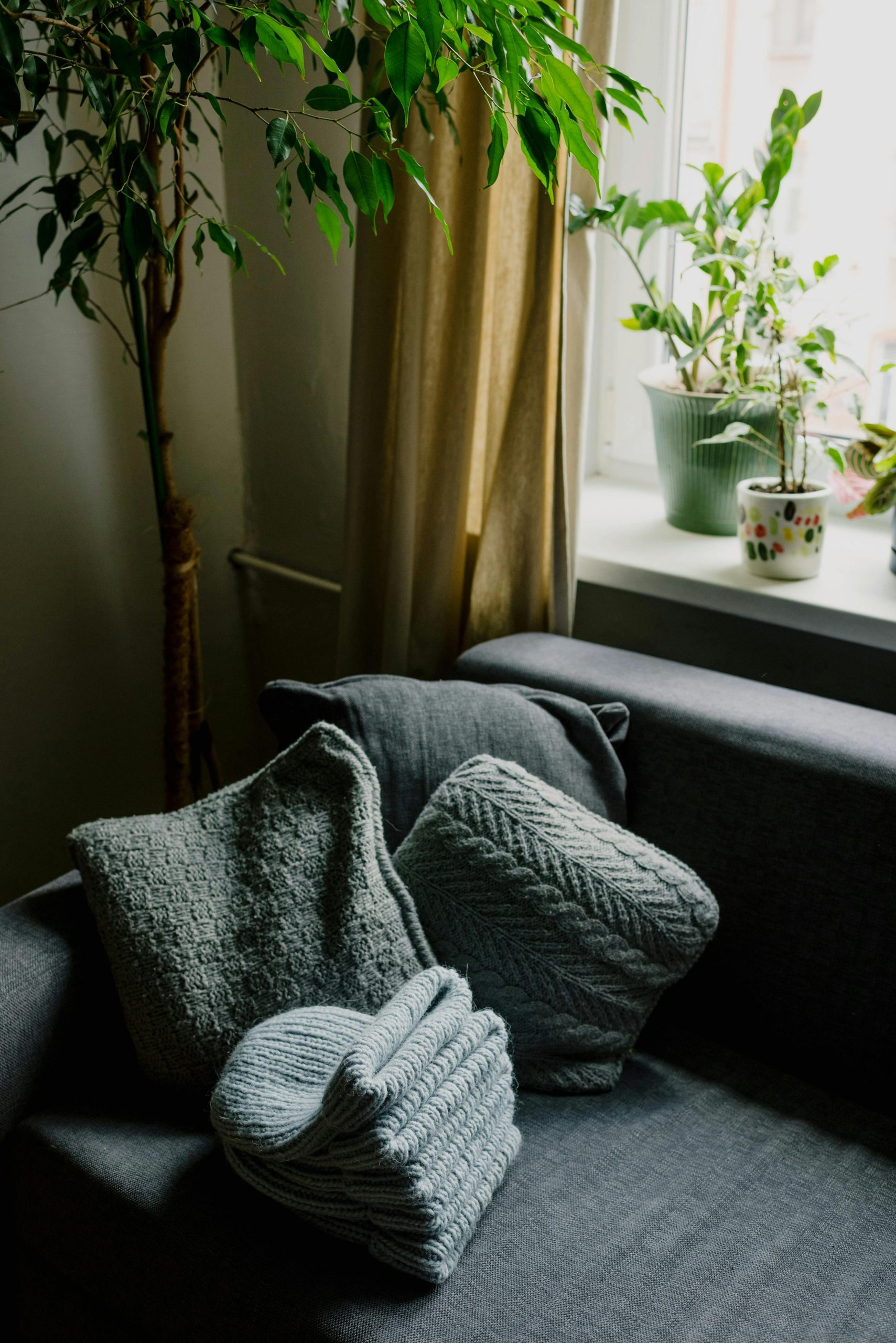 Warm and inviting living room corner with knitted pillows and lush green pot plants.