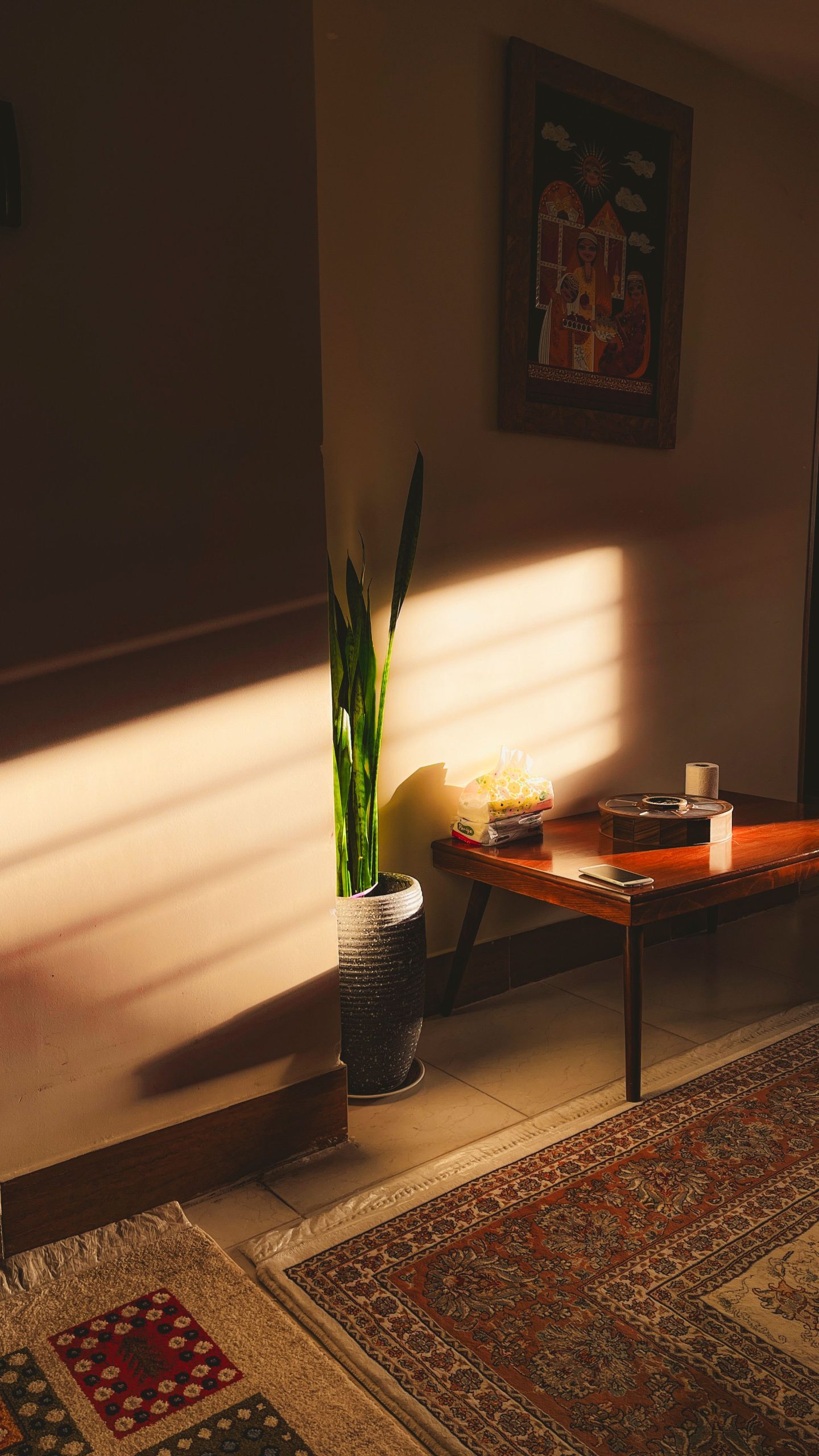 A cozy indoor scene featuring a snake plant, a vintage table, and patterned carpet in warm sunlit tones.