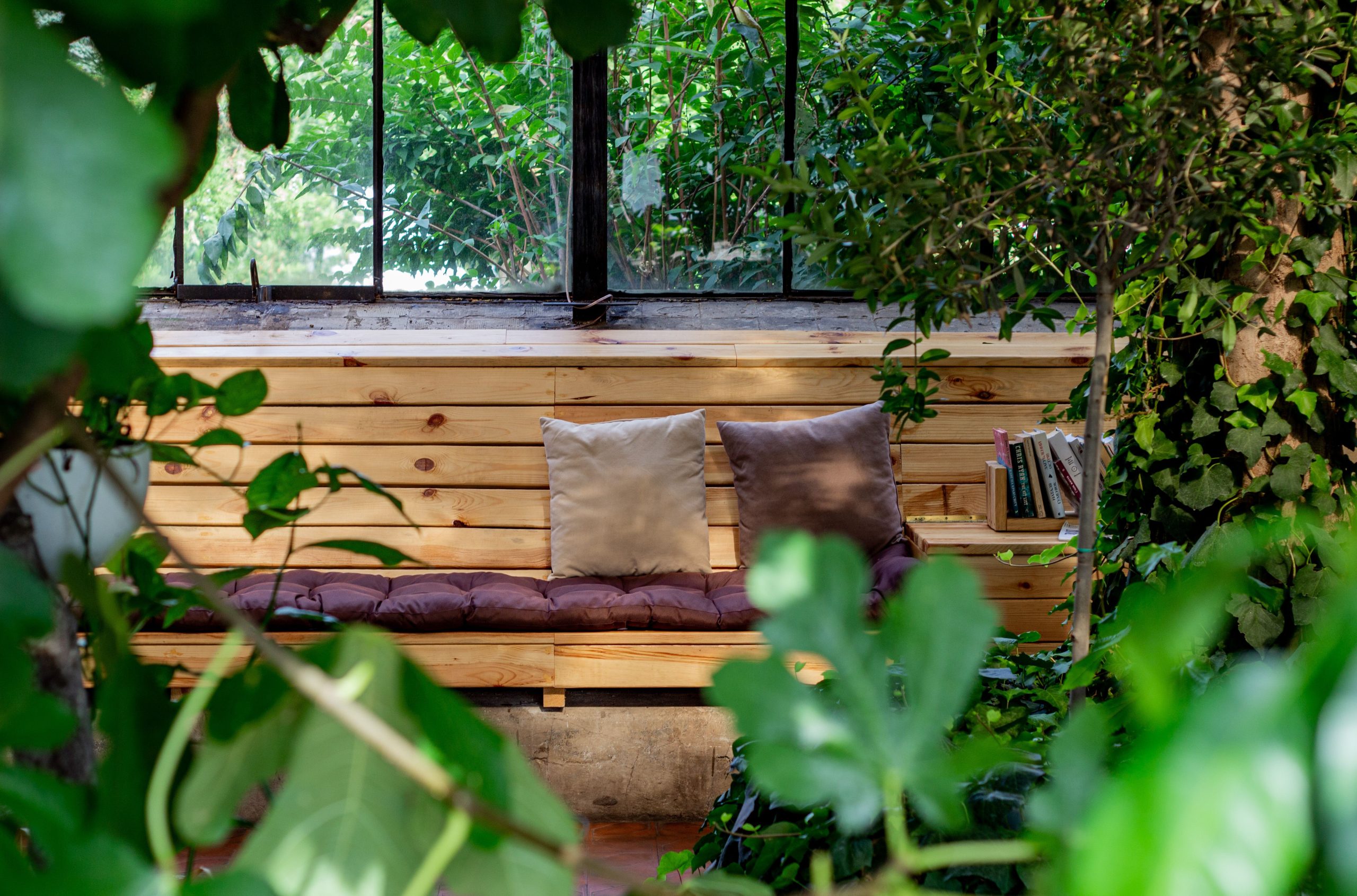 A cozy wooden bench with cushions surrounded by lush greenery in a tranquil greenhouse setting.