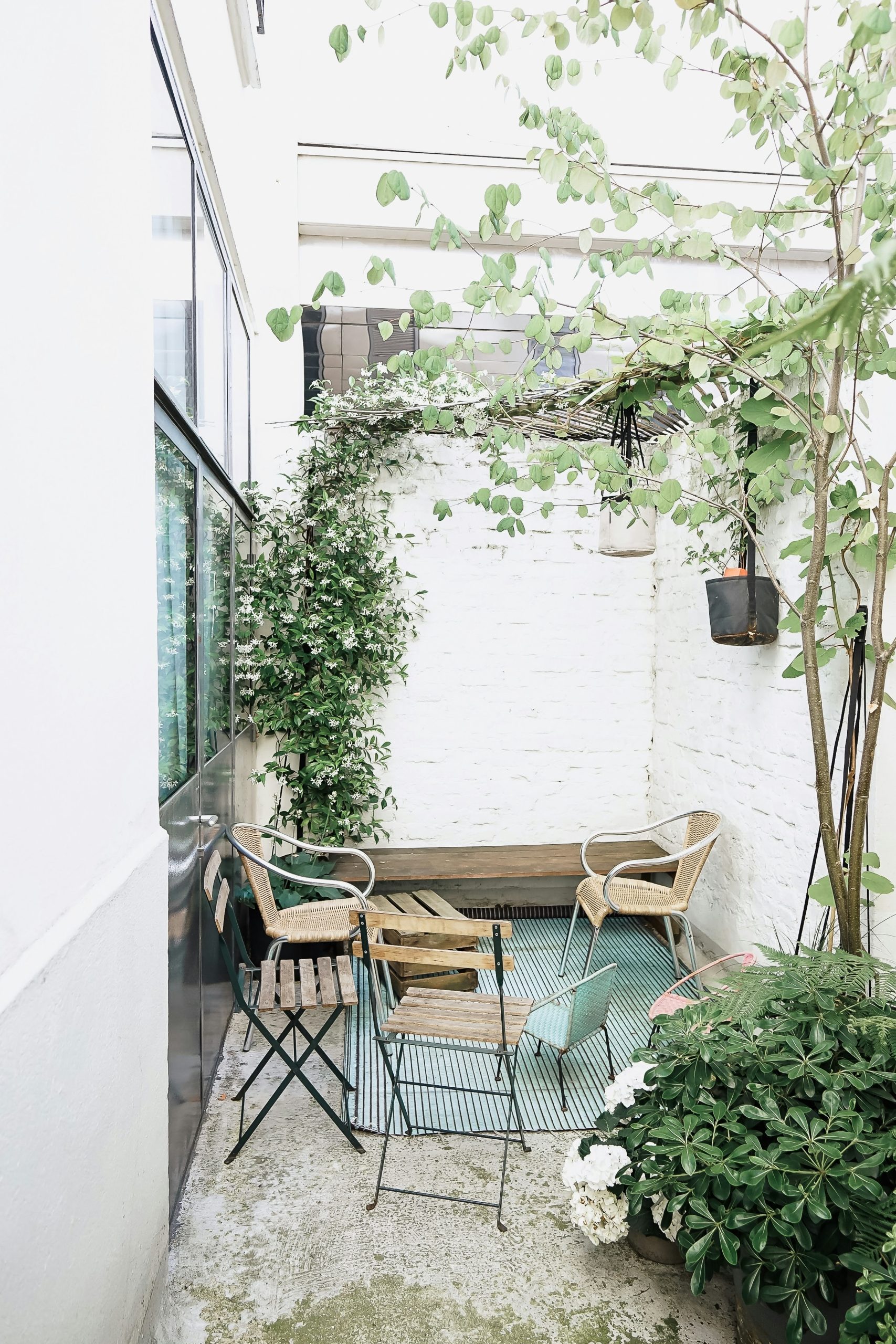 a Parisian terrace with chairs and plants