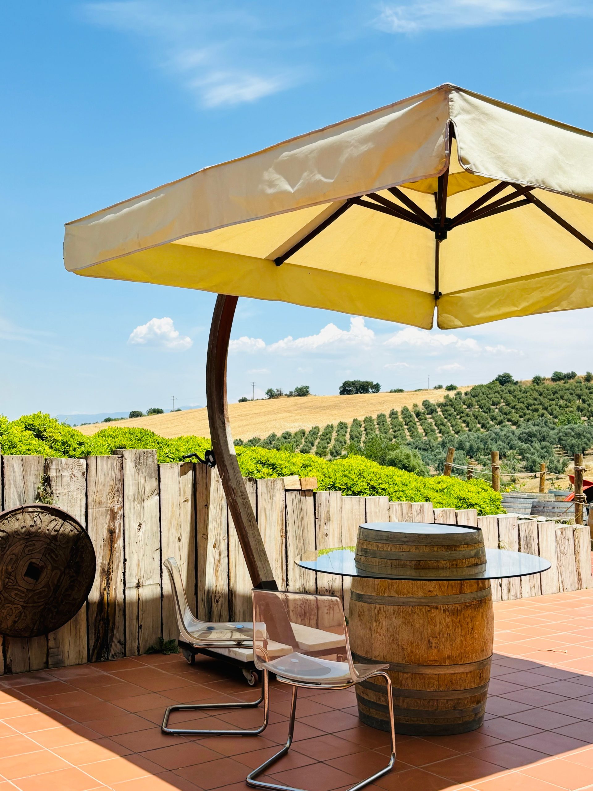 A picturesque patio setup overlooking vineyards and hills in İzmir, Turkey, on a sunny summer day.