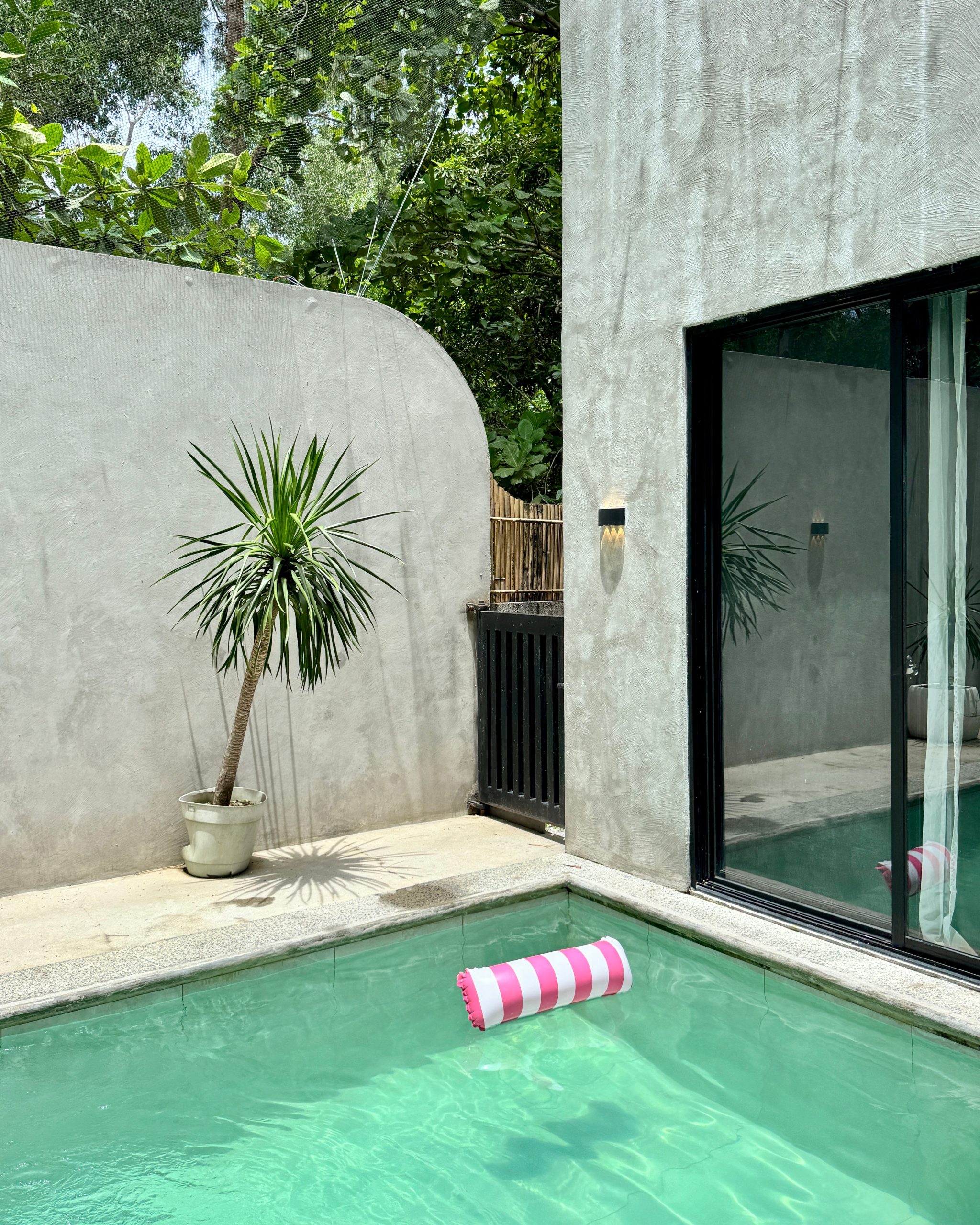 A serene poolside scene featuring a potted plant and a striped float, ideal for summer relaxation vibes.