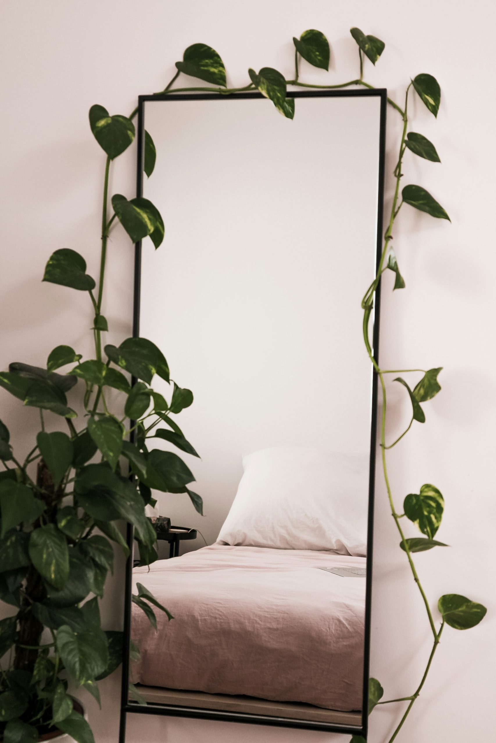 Bedroom, bed and mirror surrounded with plants