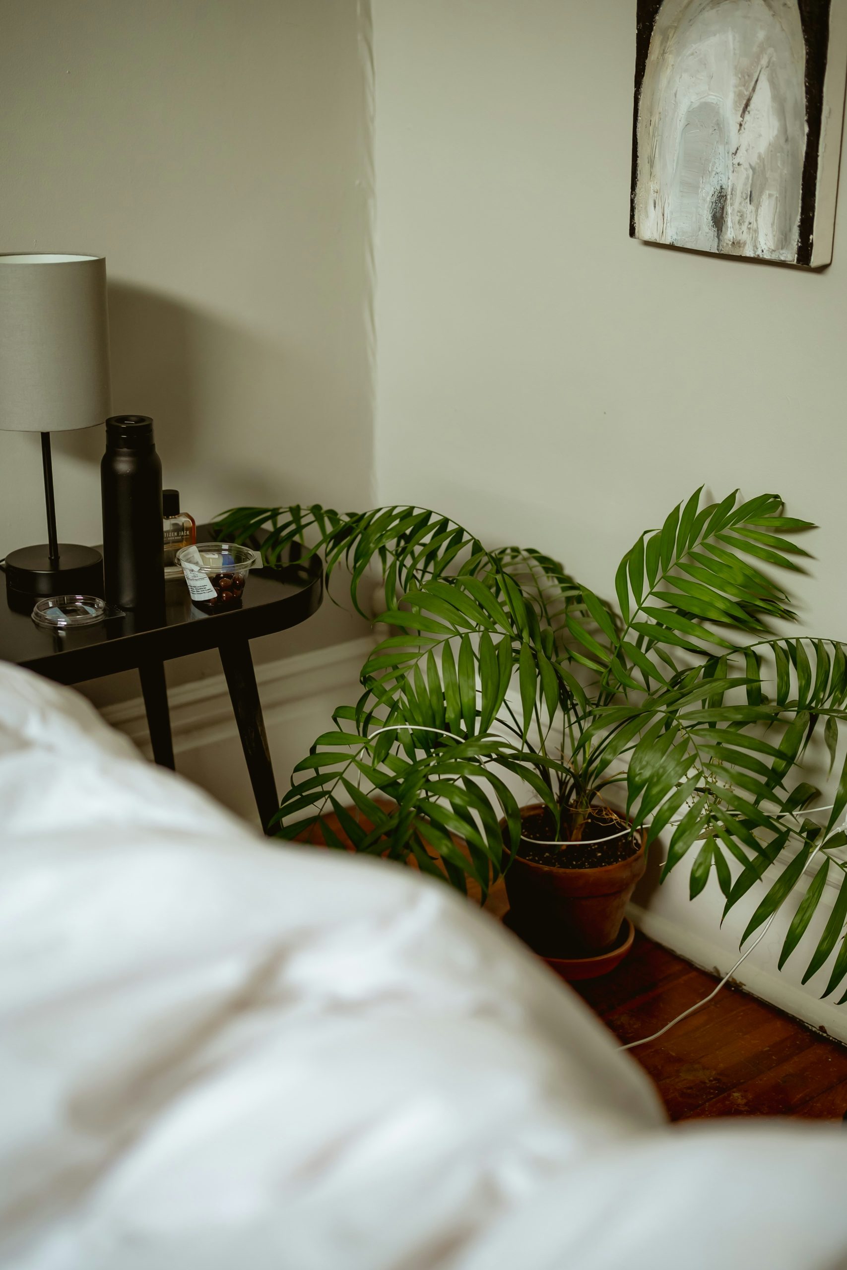 Bedroom corner with a plant and bedside table