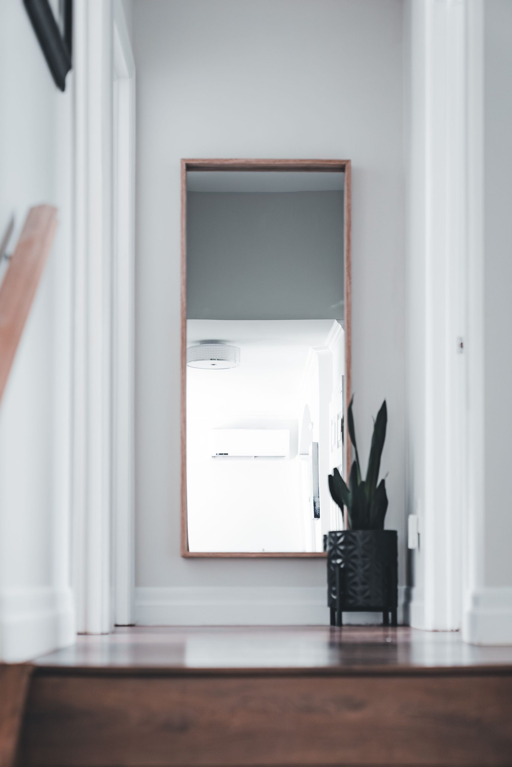 Contemporary hallway interior featuring a mirror and potted plant, perfect for design inspiration.