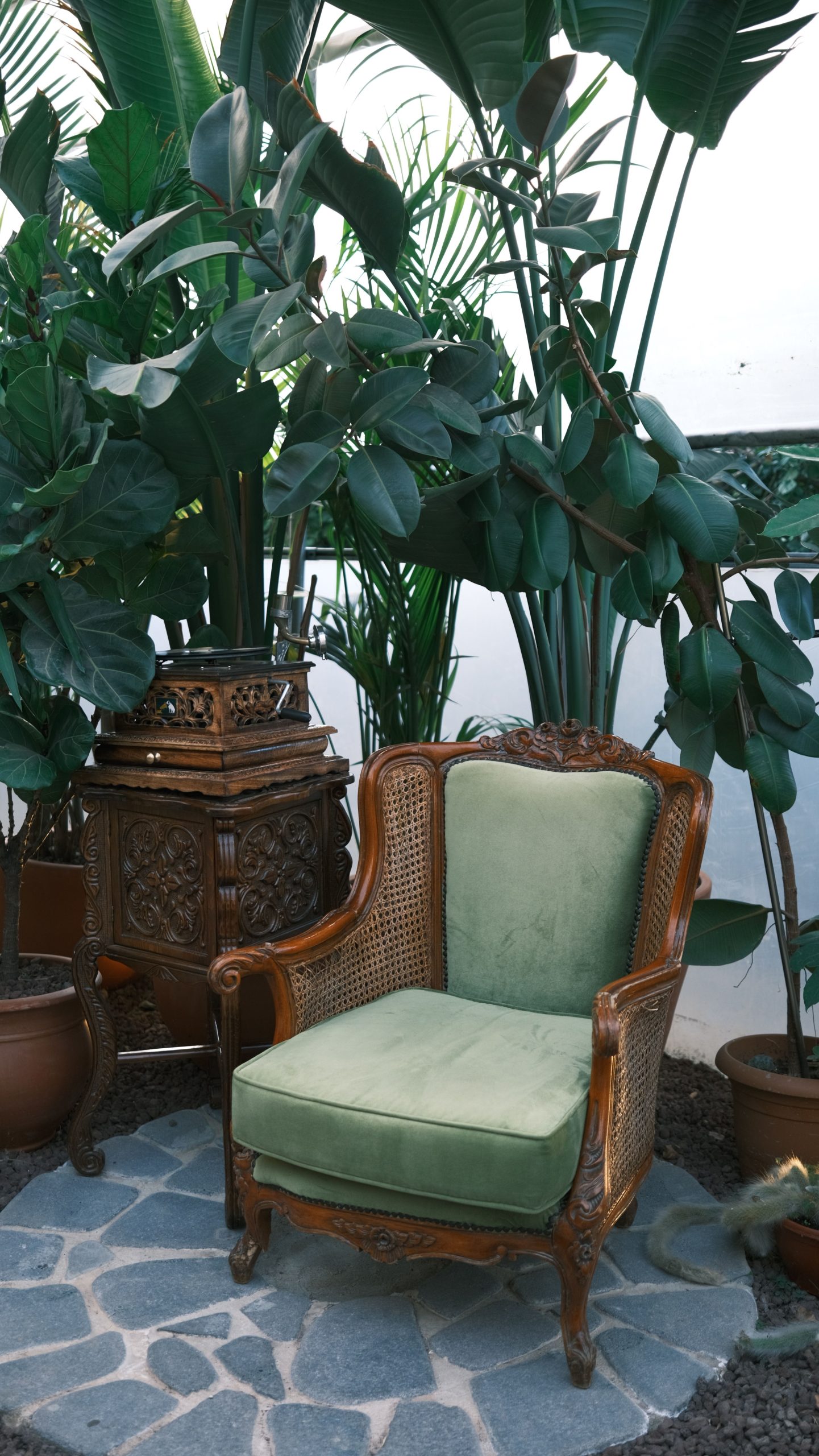 Elegant vintage green armchair surrounded by lush indoor plants, creating a peaceful and stylish setting.