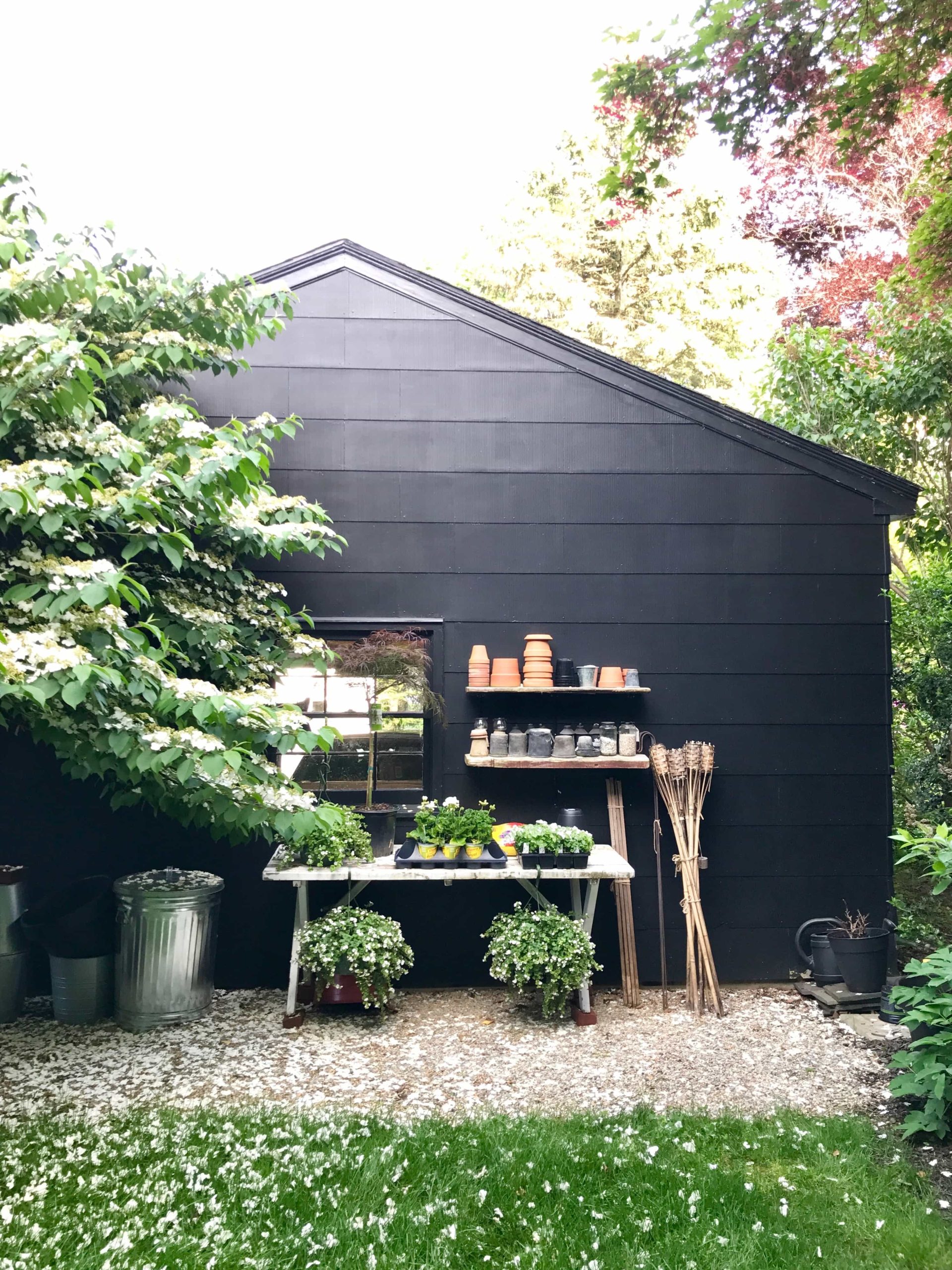 Friday Favorites + Backyard Potting Area | Most Lovely Things