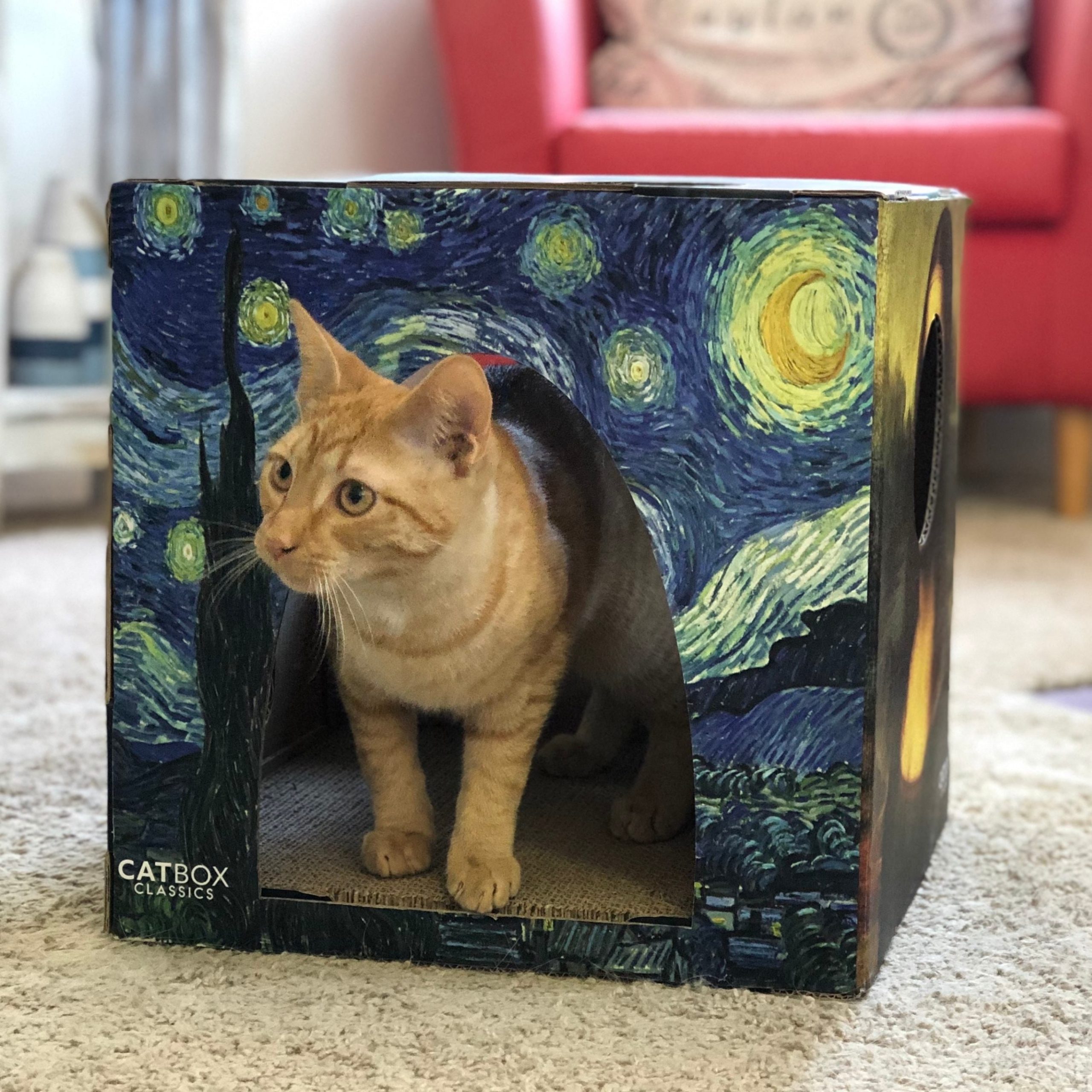 Furry Masterpieces Cardboard Cat House with Scratcher Cat Box Classics