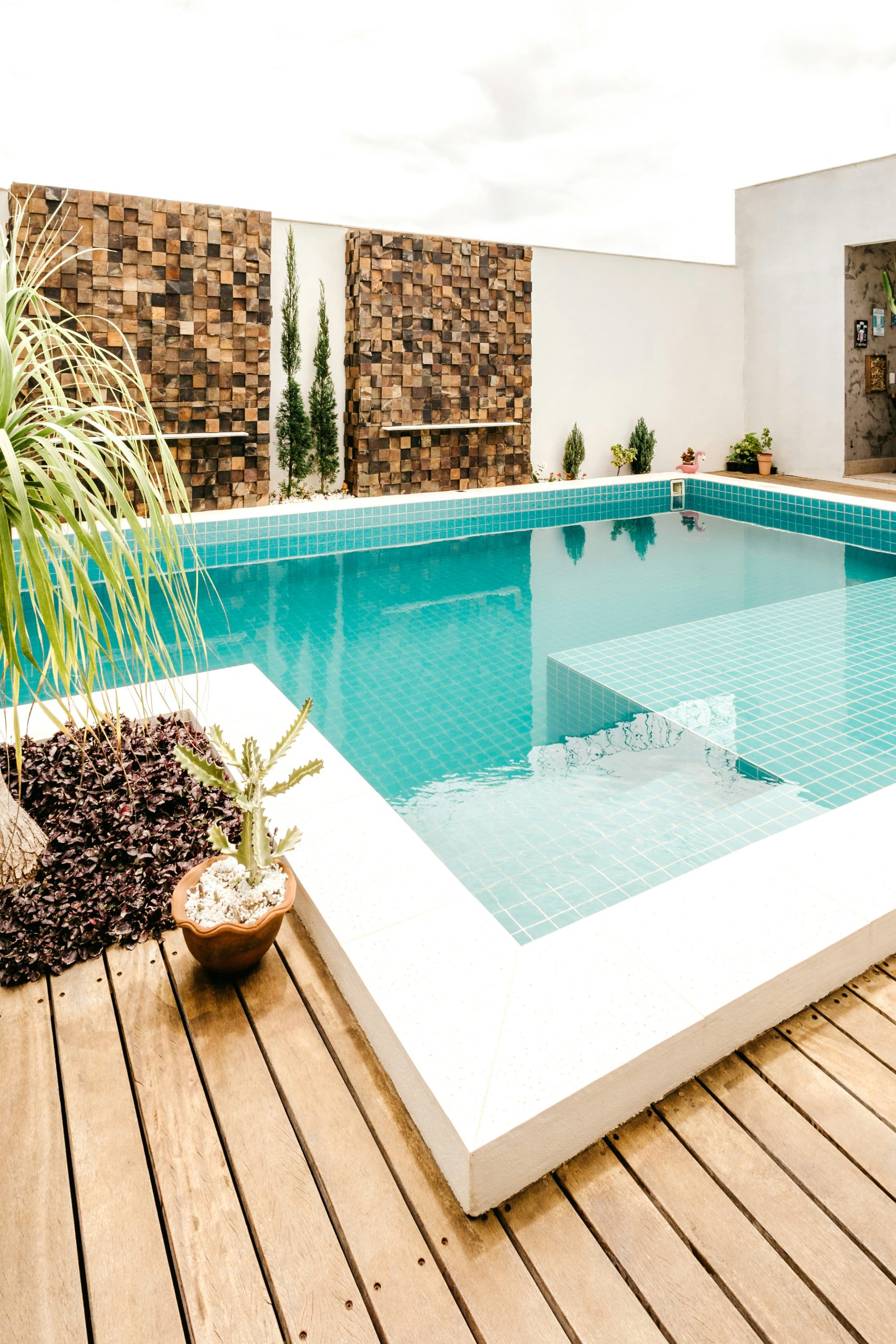 green potted plant beside swimming pool