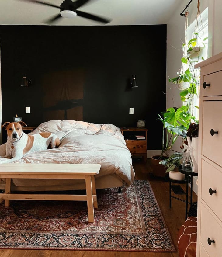 I Painted My Bedroom Black, and It's the Best Decision I Ever Made | Apartment Therapy