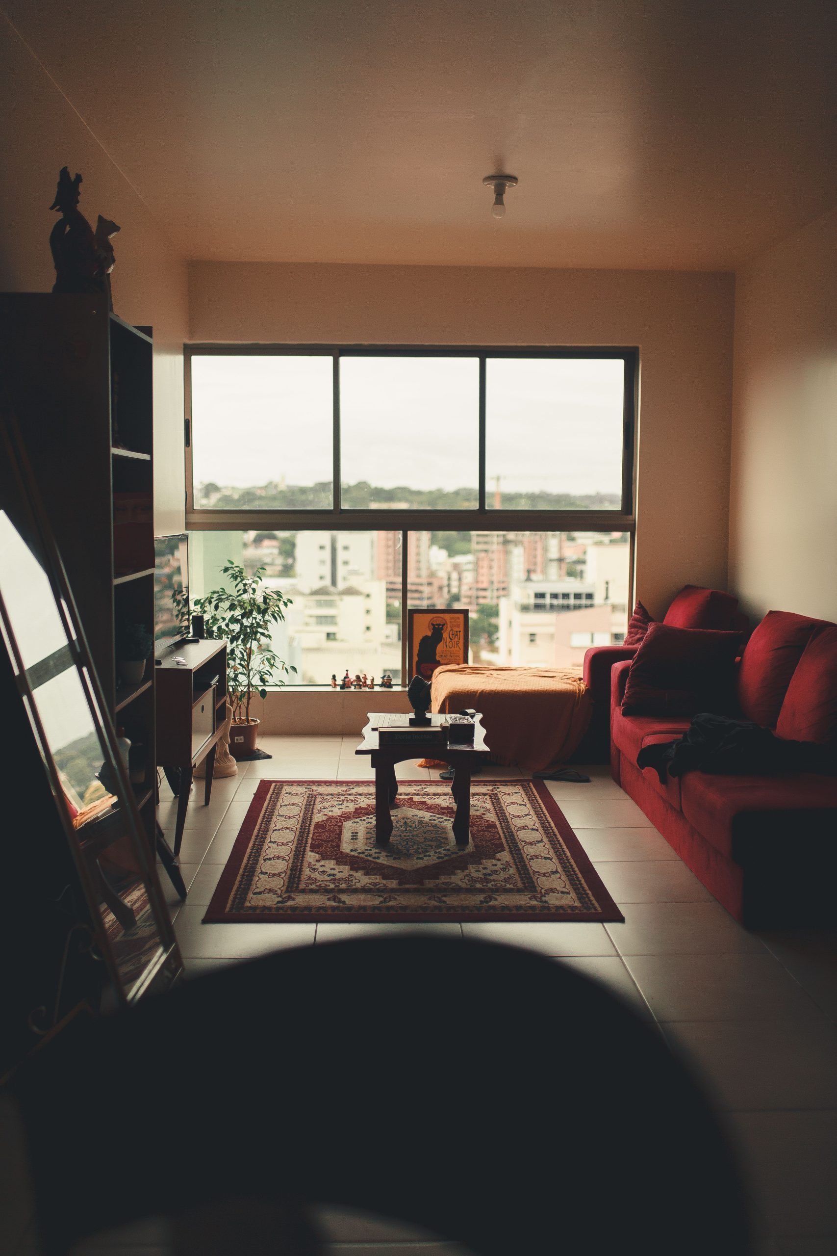 Interior of modern apartment with wooden furniture and soft couch laced near big windows in living room