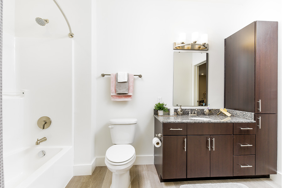 Mindblowing Apartment Bathroom Ideas In Greenwood | Verge Luxury Flats