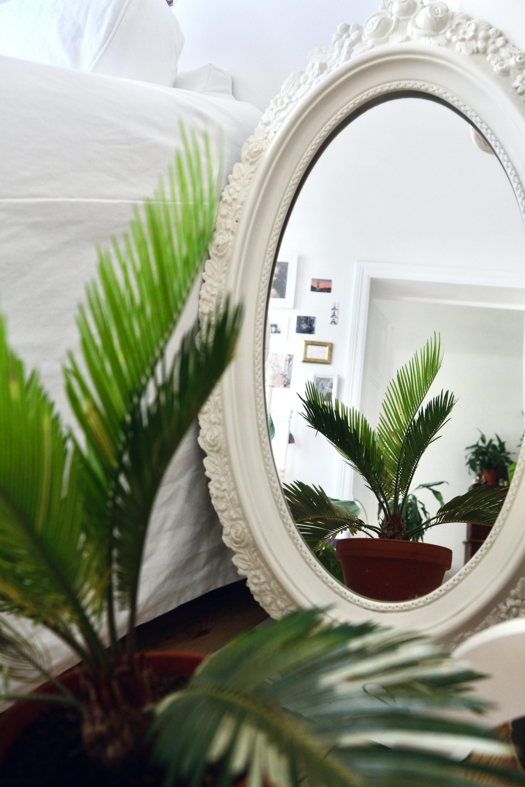 Mirror in classical bedroom filled with plants in Altbau in Berlin, Germany. Available for rental as a film location on beazy.co
