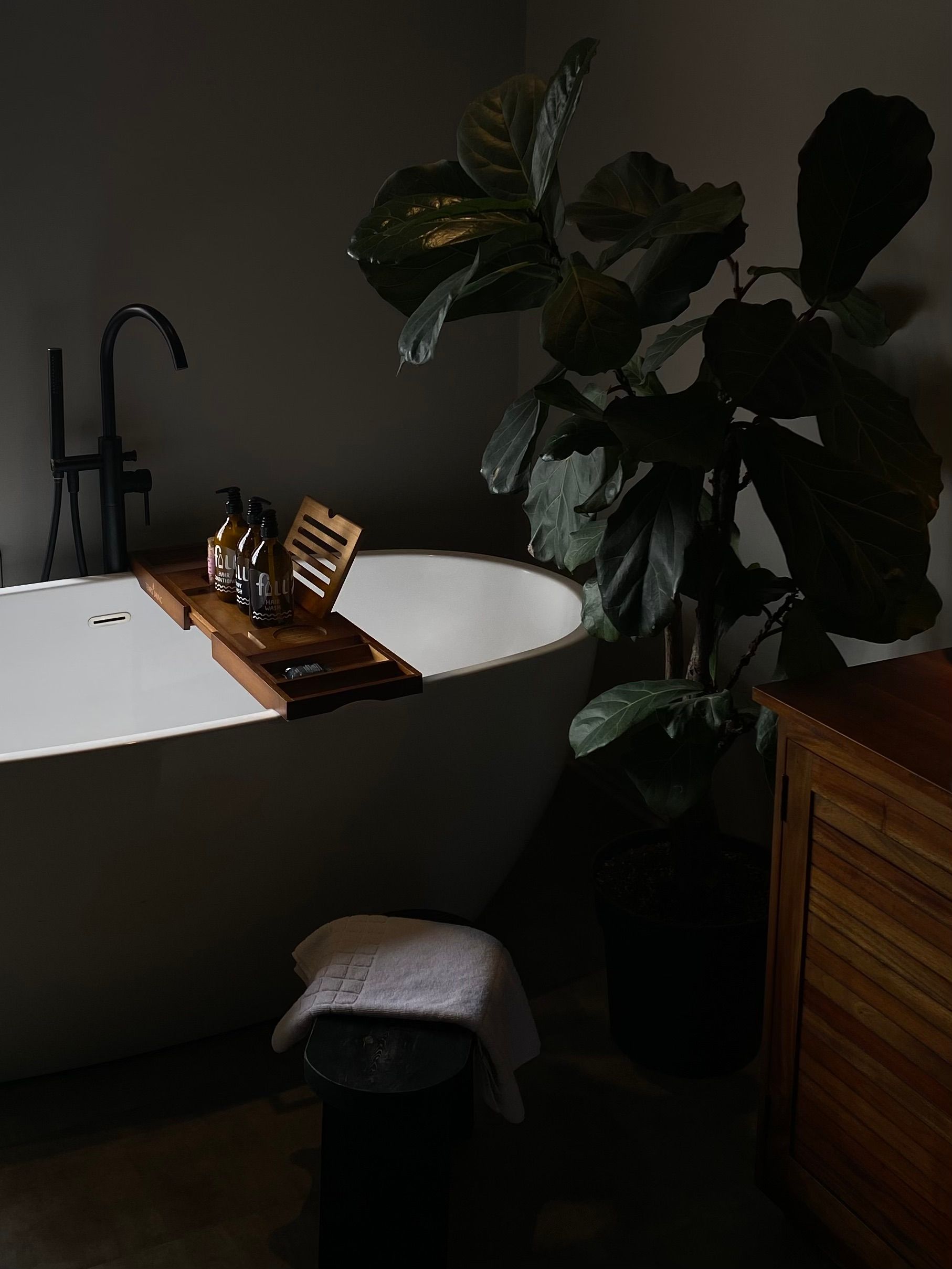 Stylish bathroom featuring a bathtub with bath board and lush plant decor.