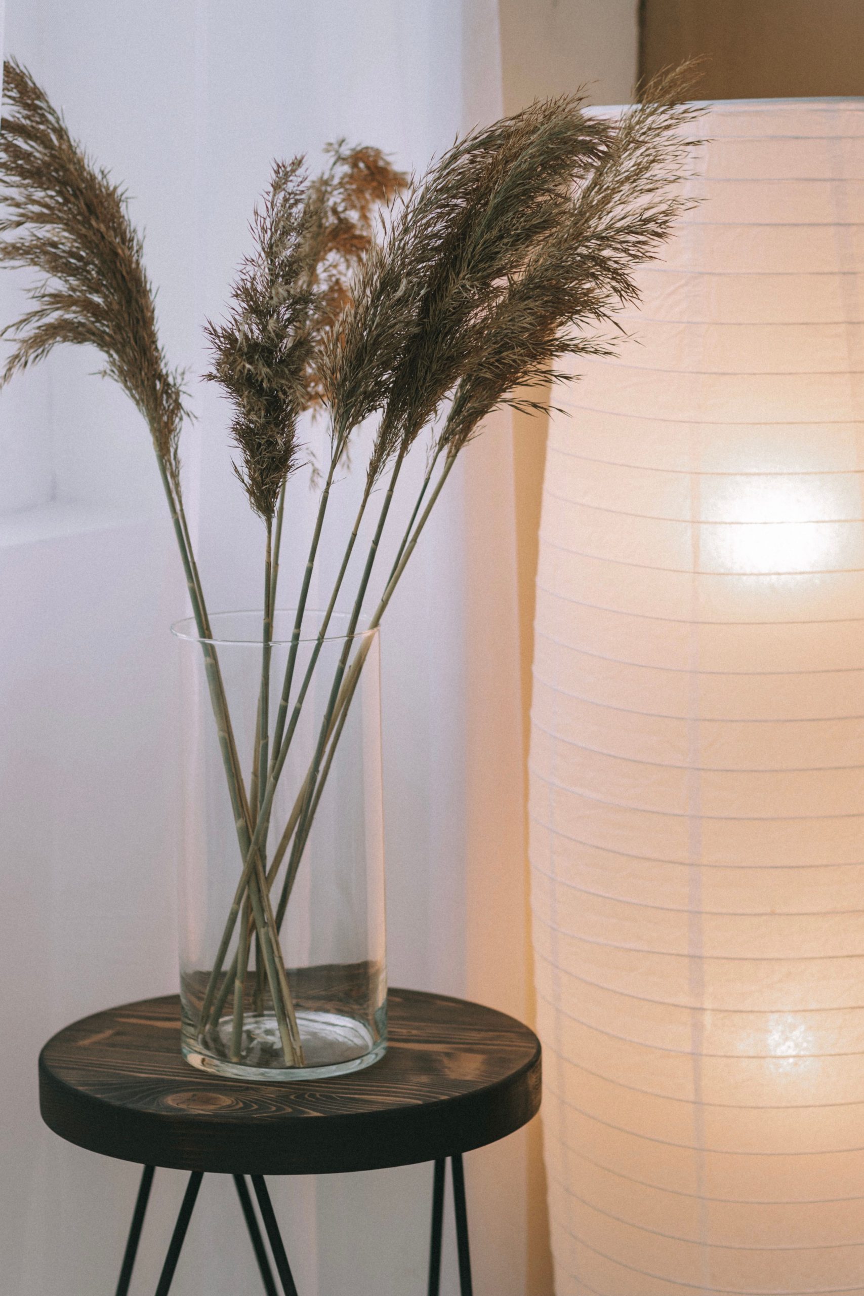 Stylish minimalist home decor featuring a vase with ornamental grass and a soft lamp glow.