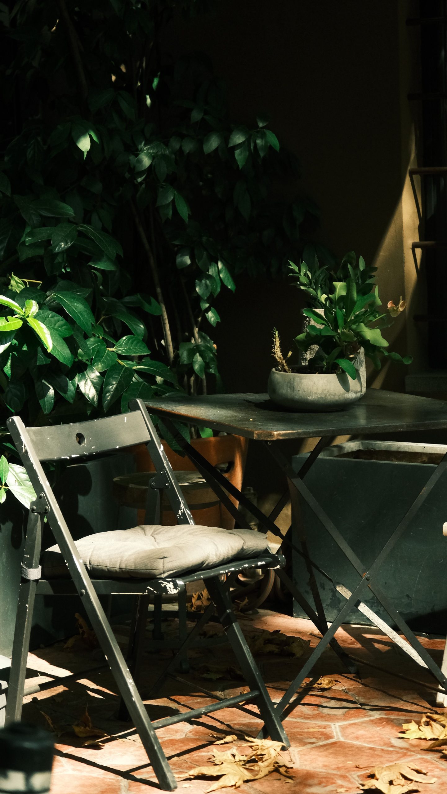 Sunlit patio with lush plants and metal furniture, perfect for relaxing.