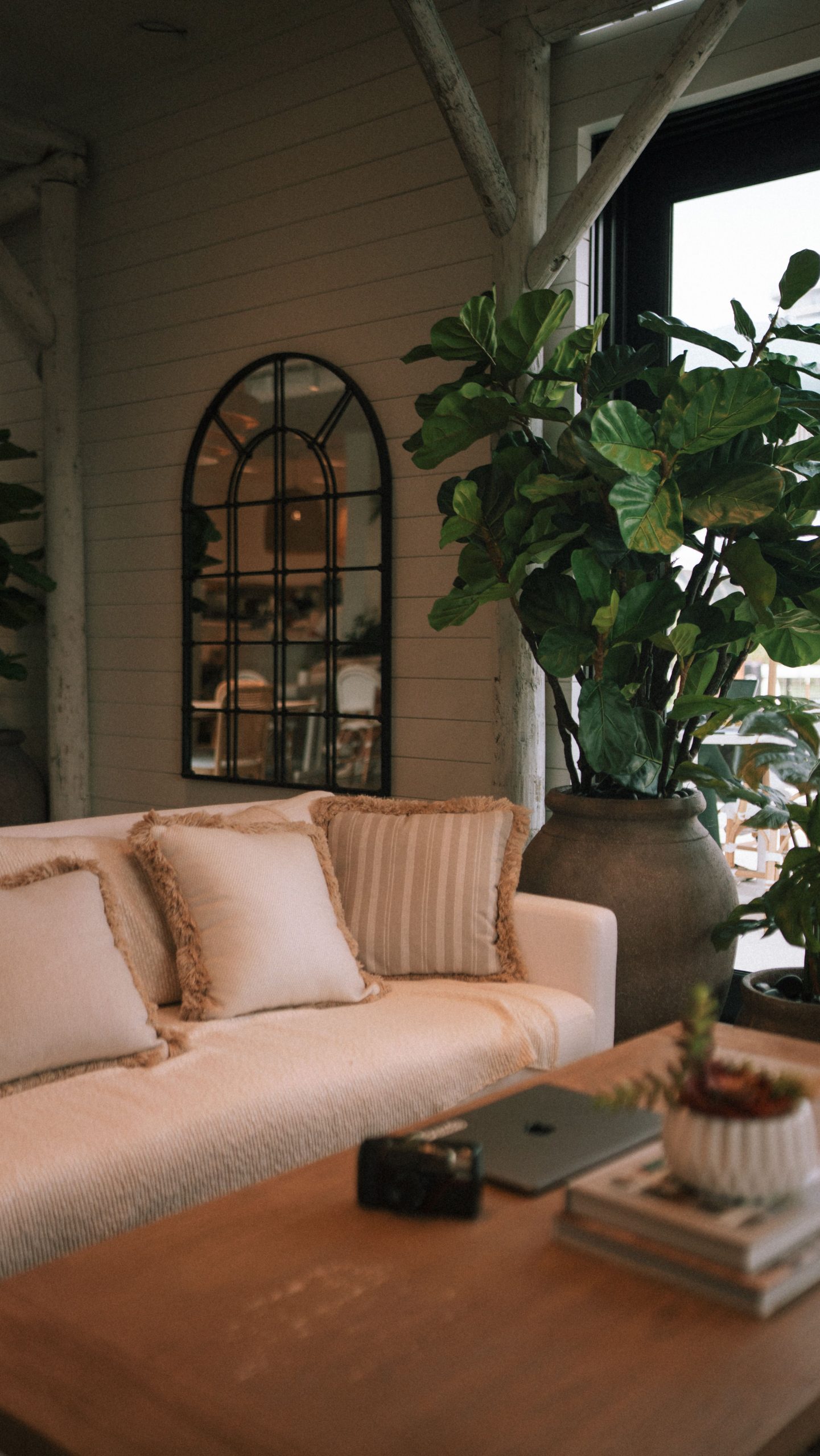Warm, cozy living room with vintage decor, potted plants, and soft lighting for a relaxing ambiance.