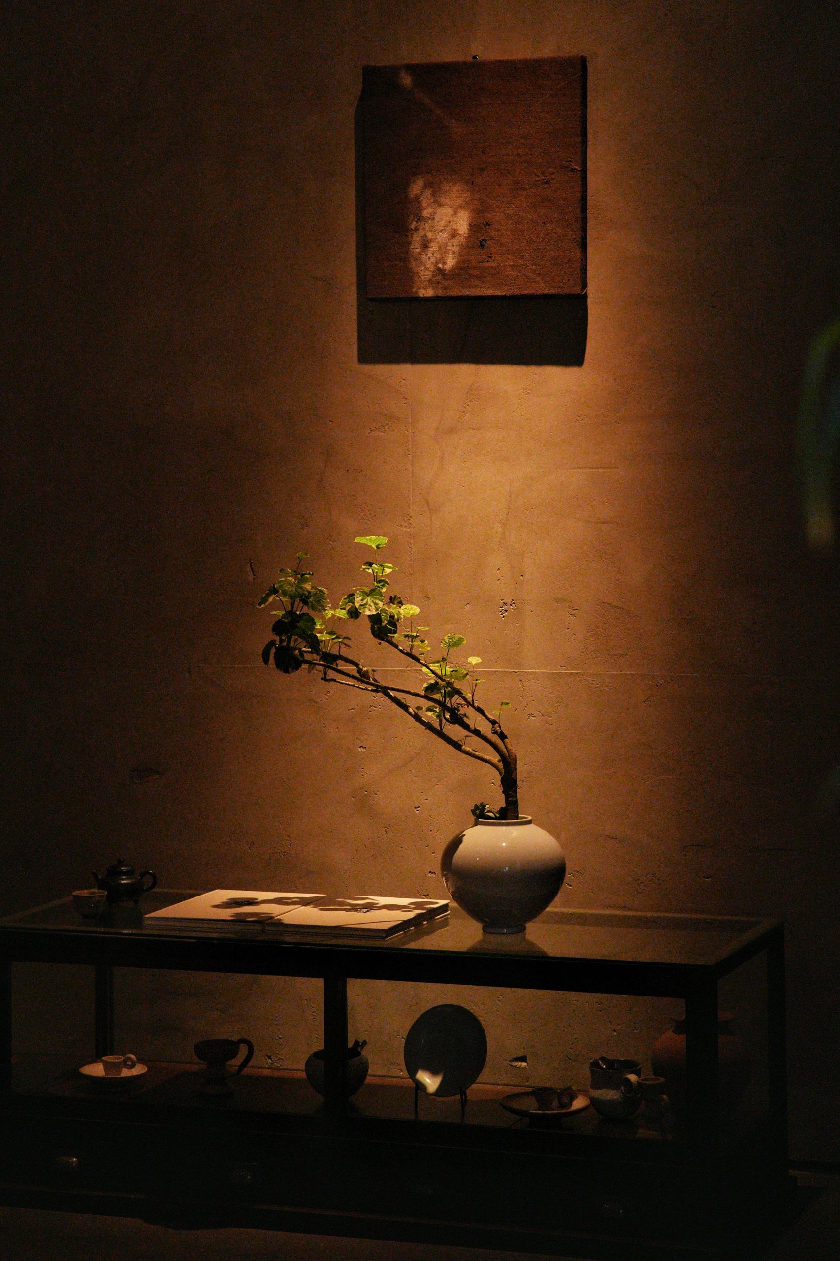 Warm minimalist interior scene with a vase holding branches, accentuated by dramatic lighting.
