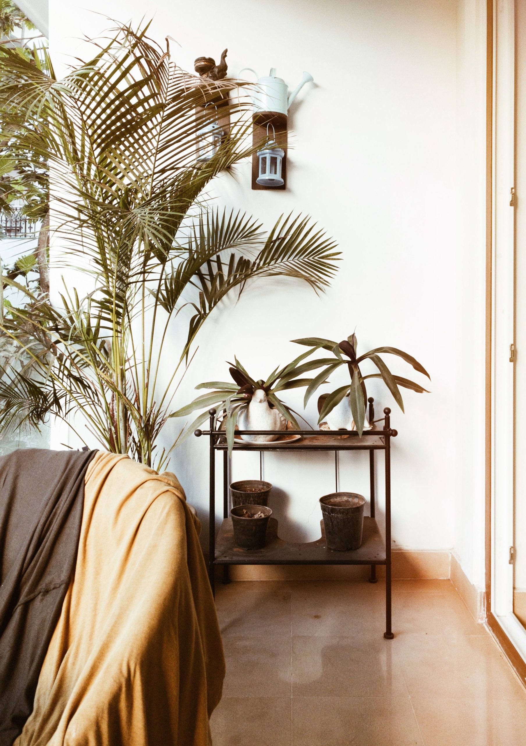 Warm, sunlit corner featuring lush indoor plants and stylish decor for a cozy setting.