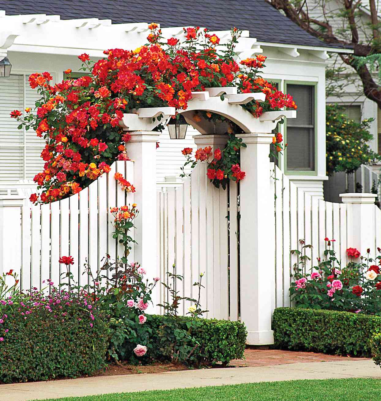 15 Arbor with Gate Ideas for a Gorgeous Garden Entrance
