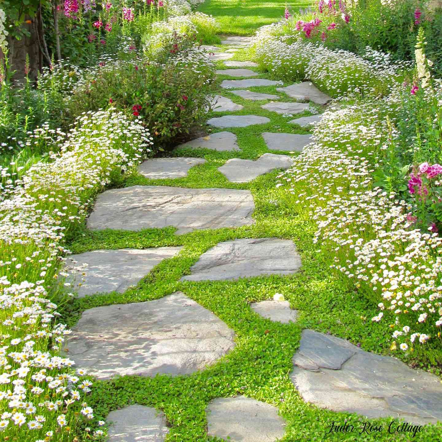 15 Garden Path Ideas That Will Transform Your Backyard
