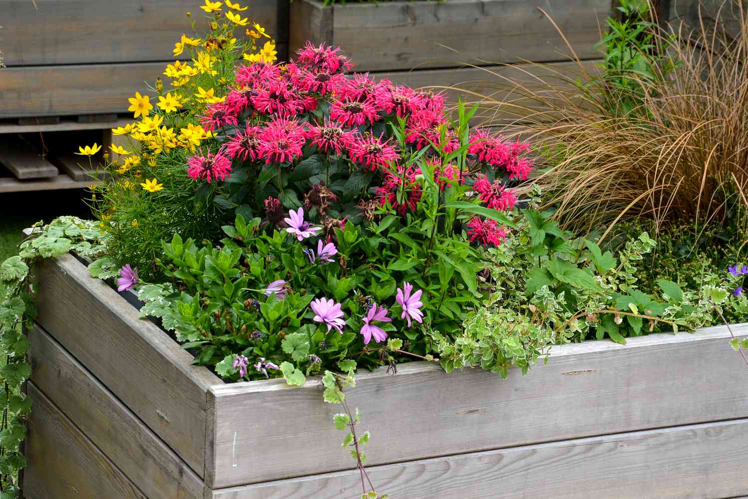 16 Raised Flower Bed Ideas That Will Add Dimension to Your Garden