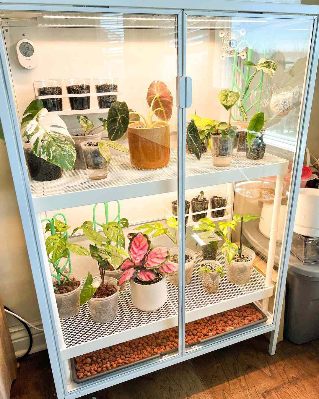 20 DIY Indoor Greenhouse Ideas