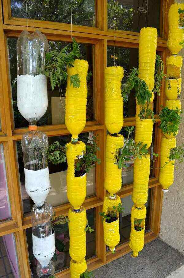 20 Vertical Gardening Ideas for NYC Homes
