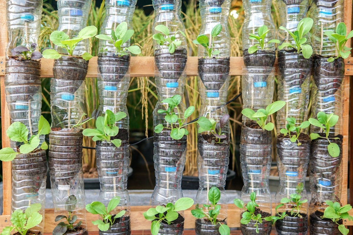 20 Vertical vegetable garden ideas - Airtasker Blog