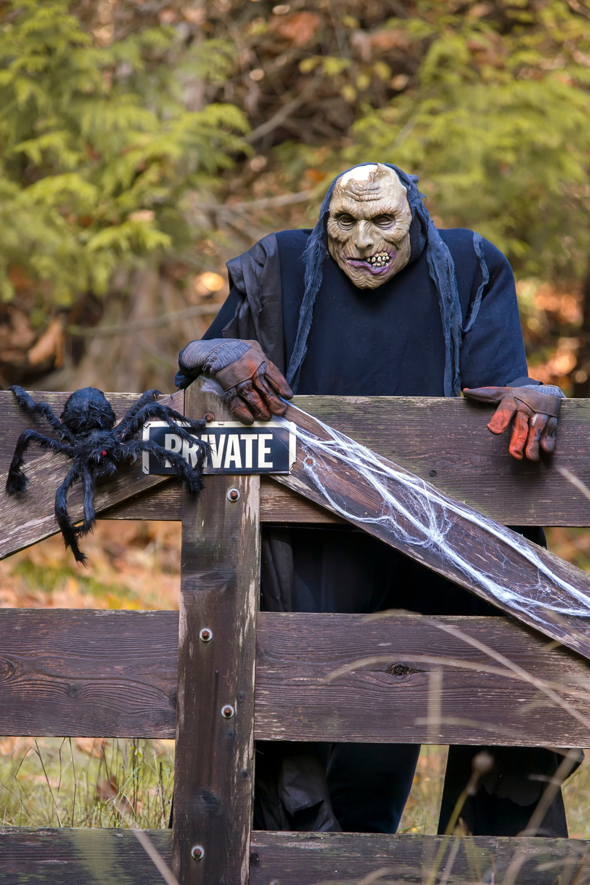 21 Zero Waste Halloween Decorations - Honestly Modern