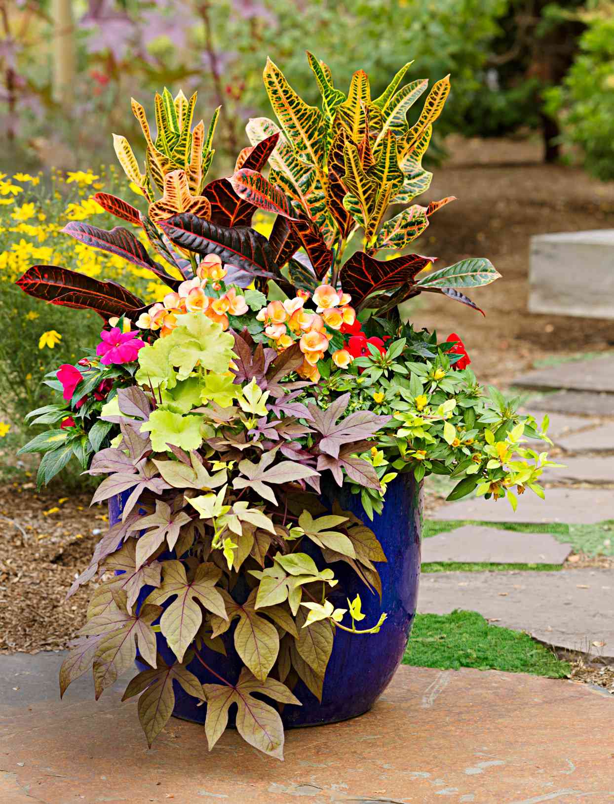 25 Container Gardening Ideas for the Midwest