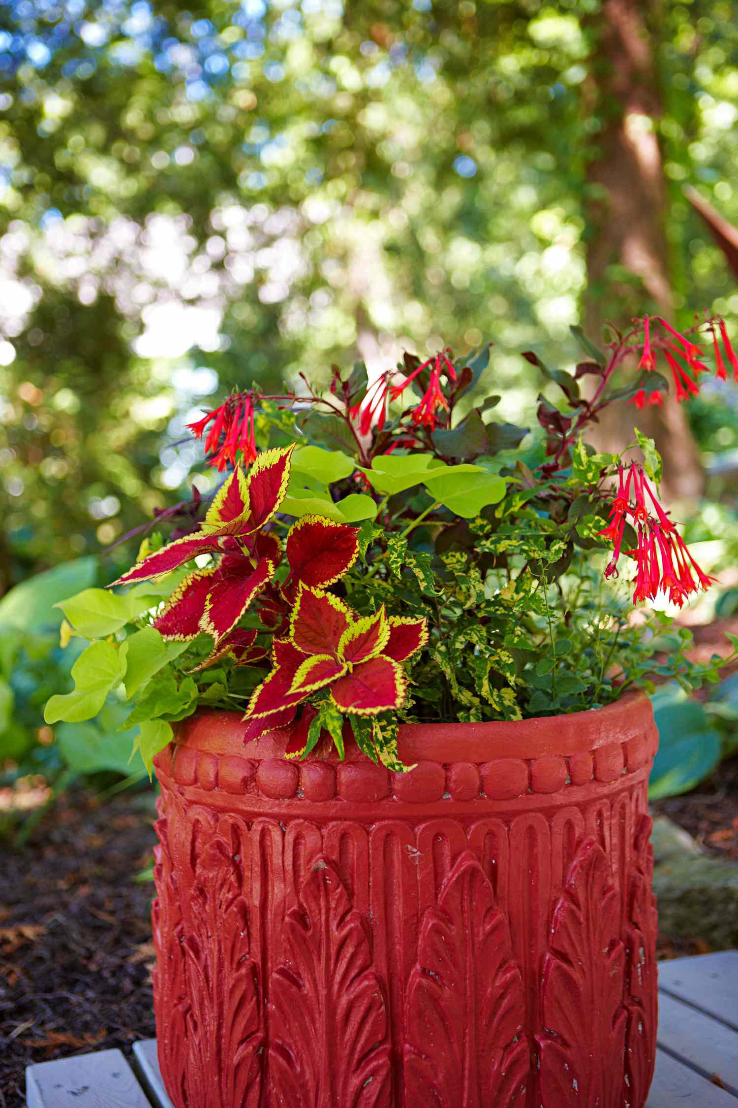 25 Container Gardening Ideas for the Midwest