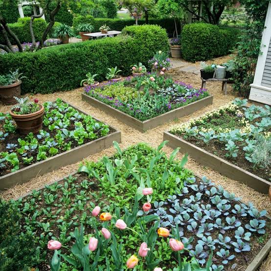 26 Raised Garden Bed Ideas | HGTV